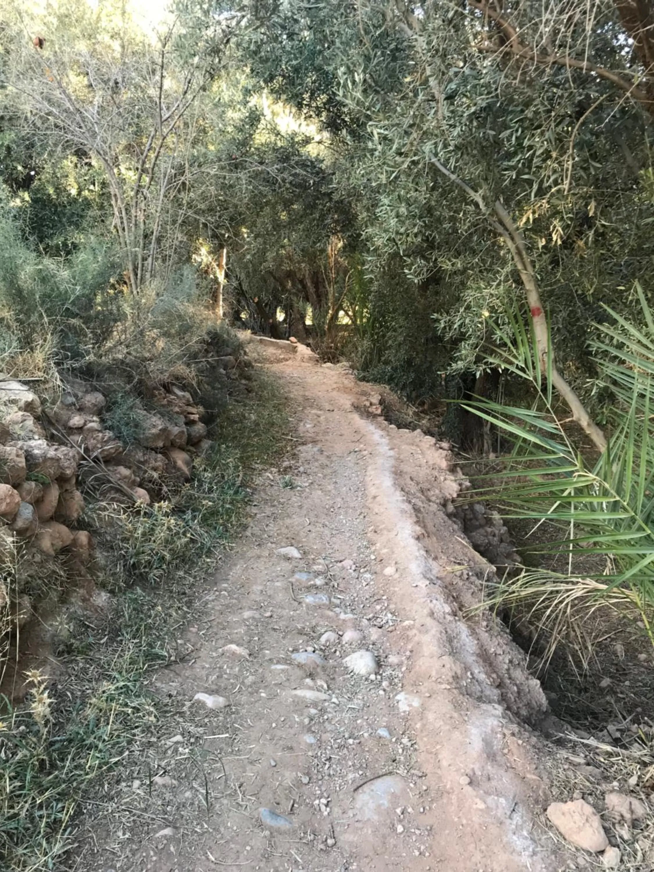 Hiking in Riad Dar Bab Todra