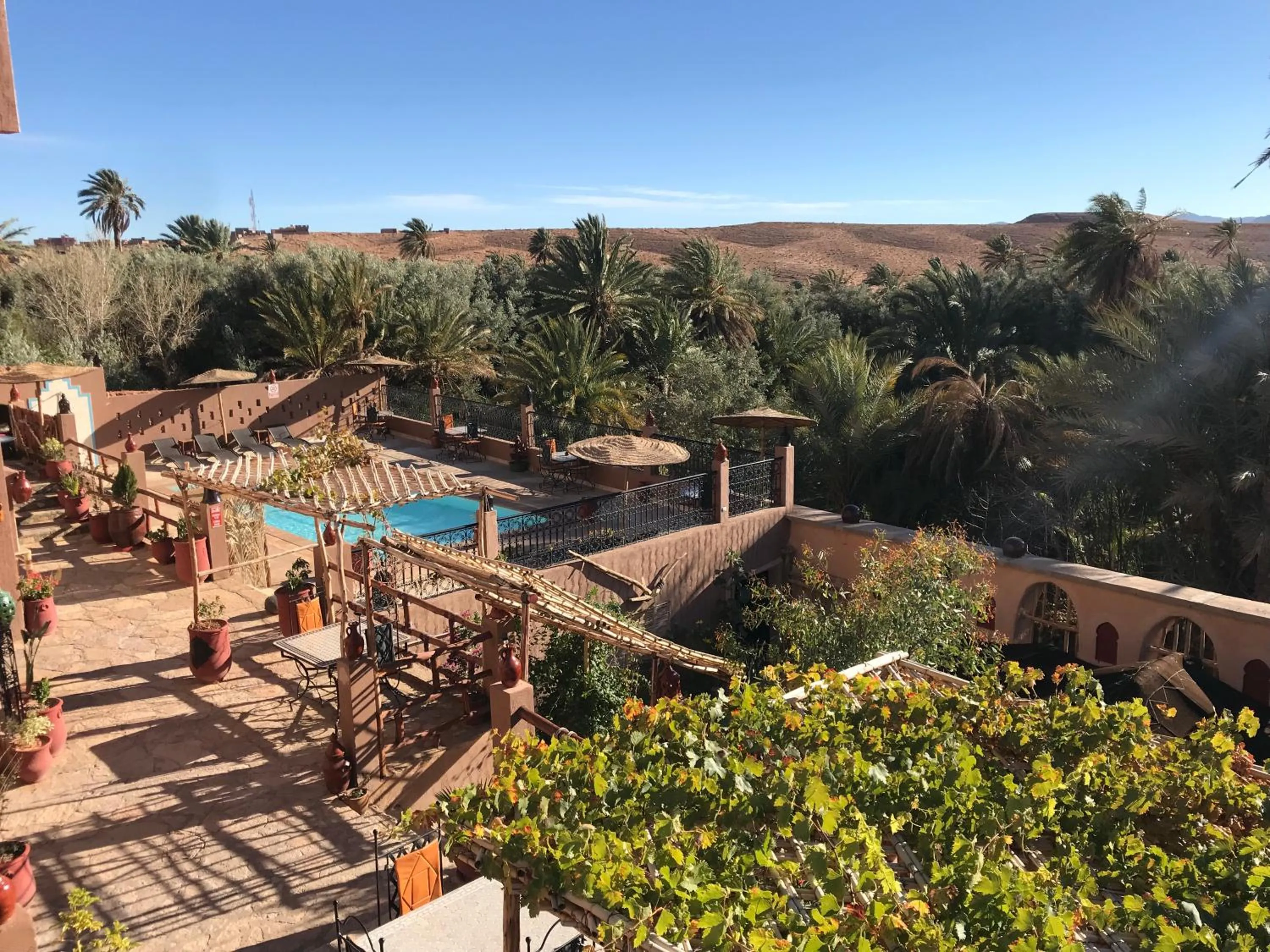 Garden in Riad Dar Bab Todra