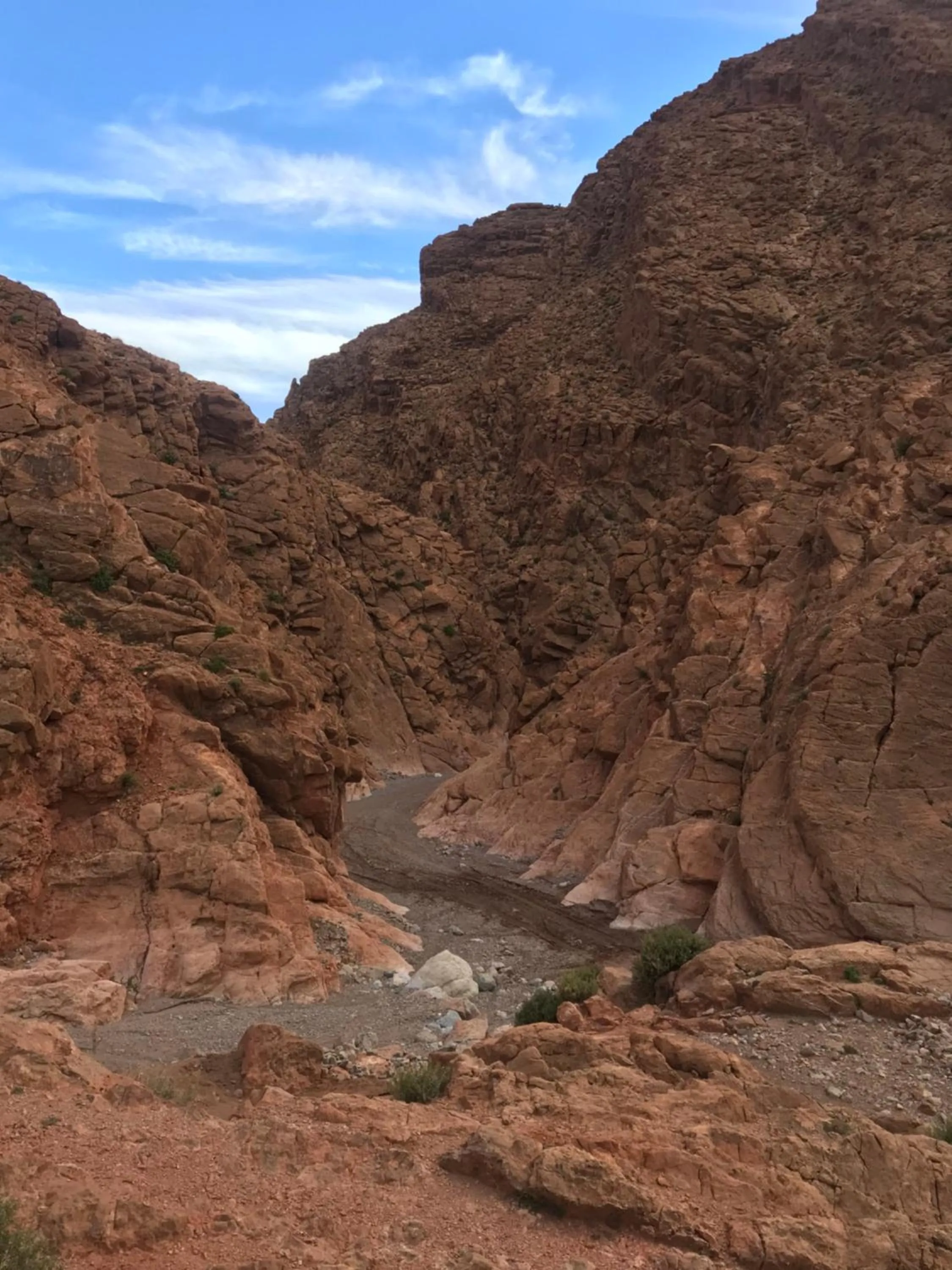 Hiking in Riad Dar Bab Todra