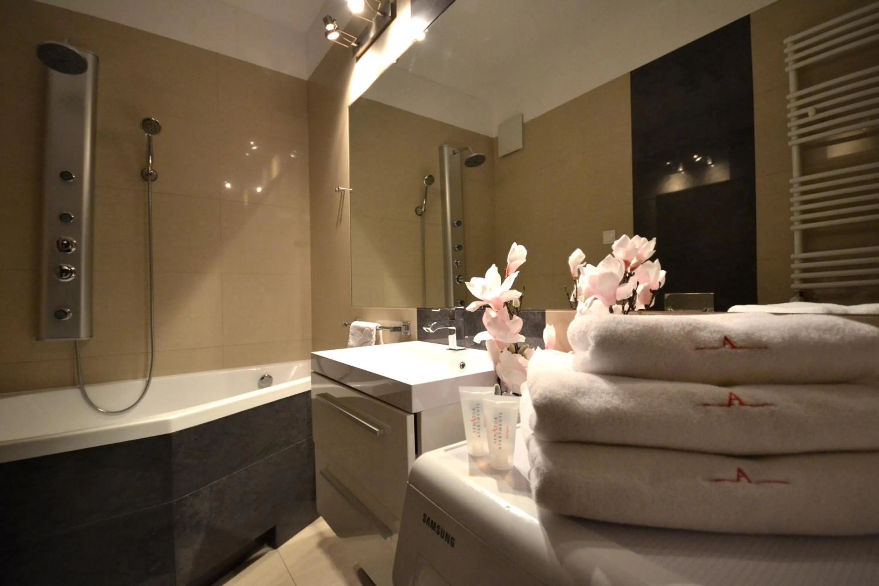 Shower in Senator Warsaw Apartments