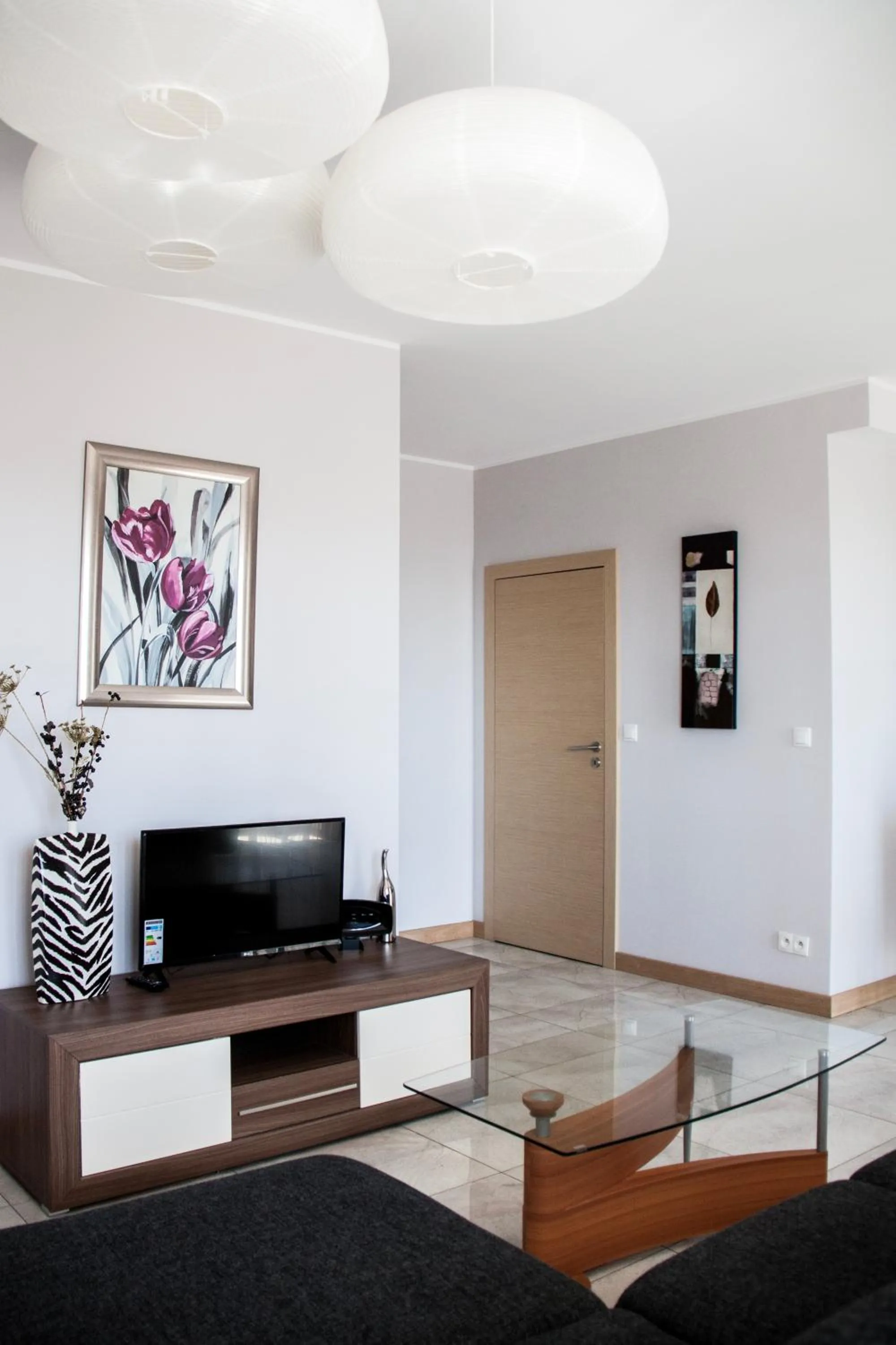 TV and multimedia in Senator Warsaw Apartments