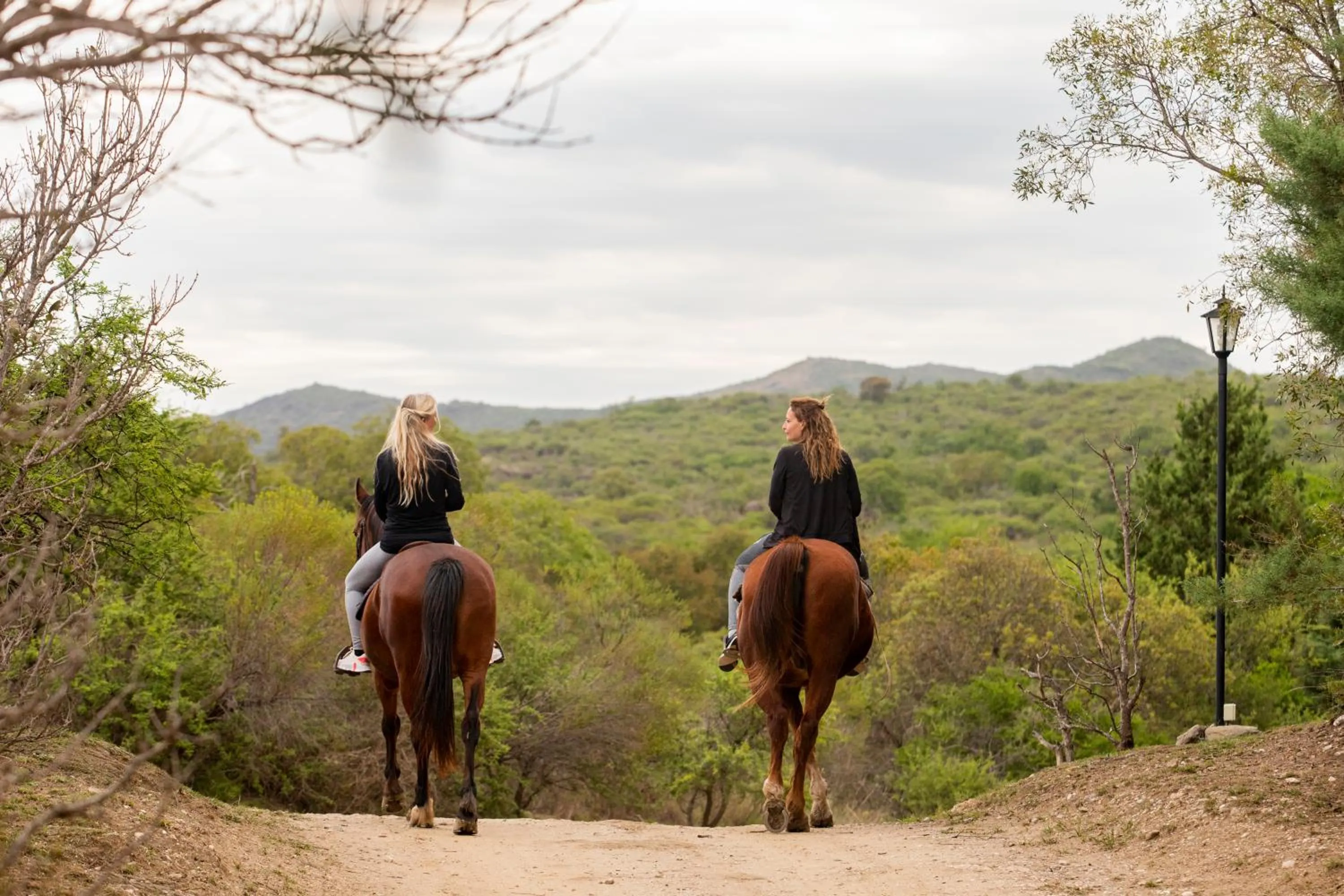 Activities in La Posada Del Qenti