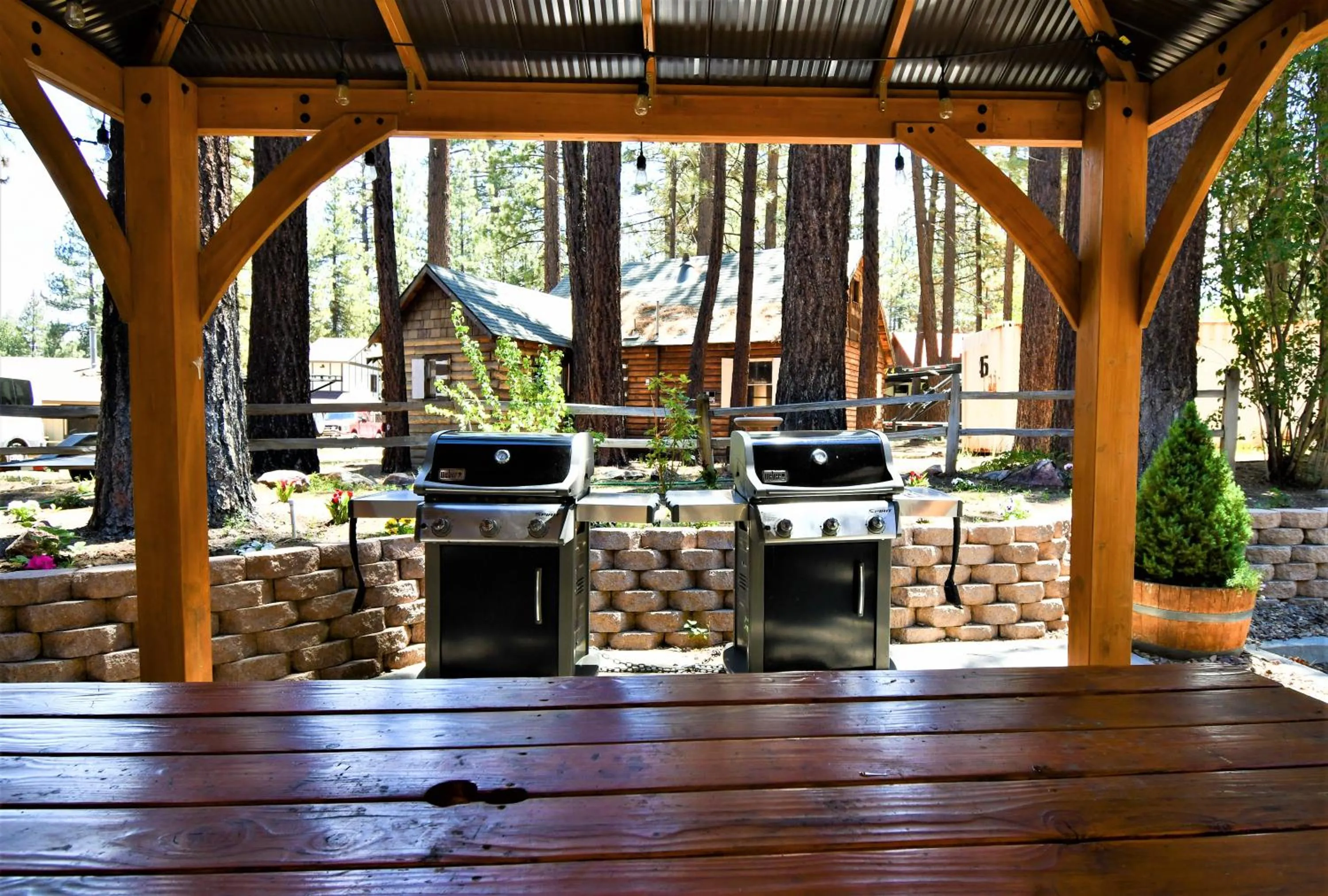 BBQ facilities in Snow Lake Lodge