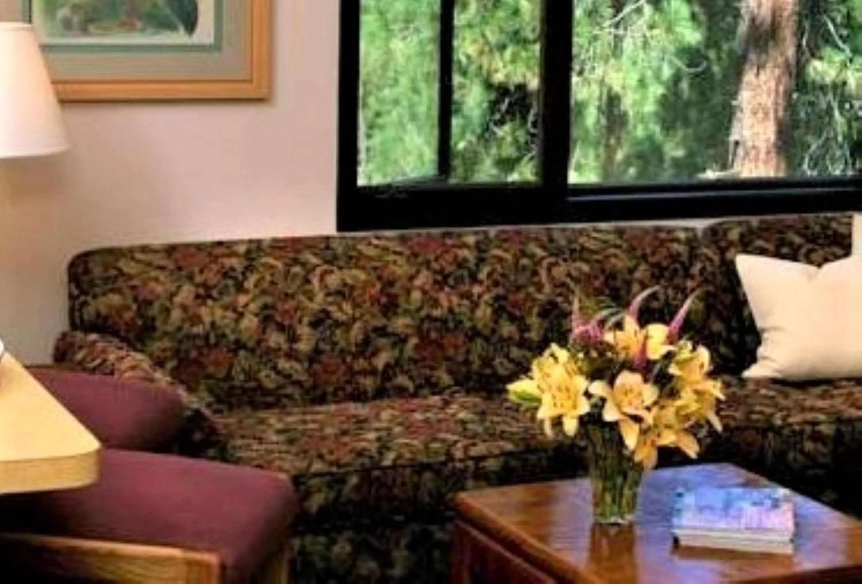 Living room in Snow Lake Lodge