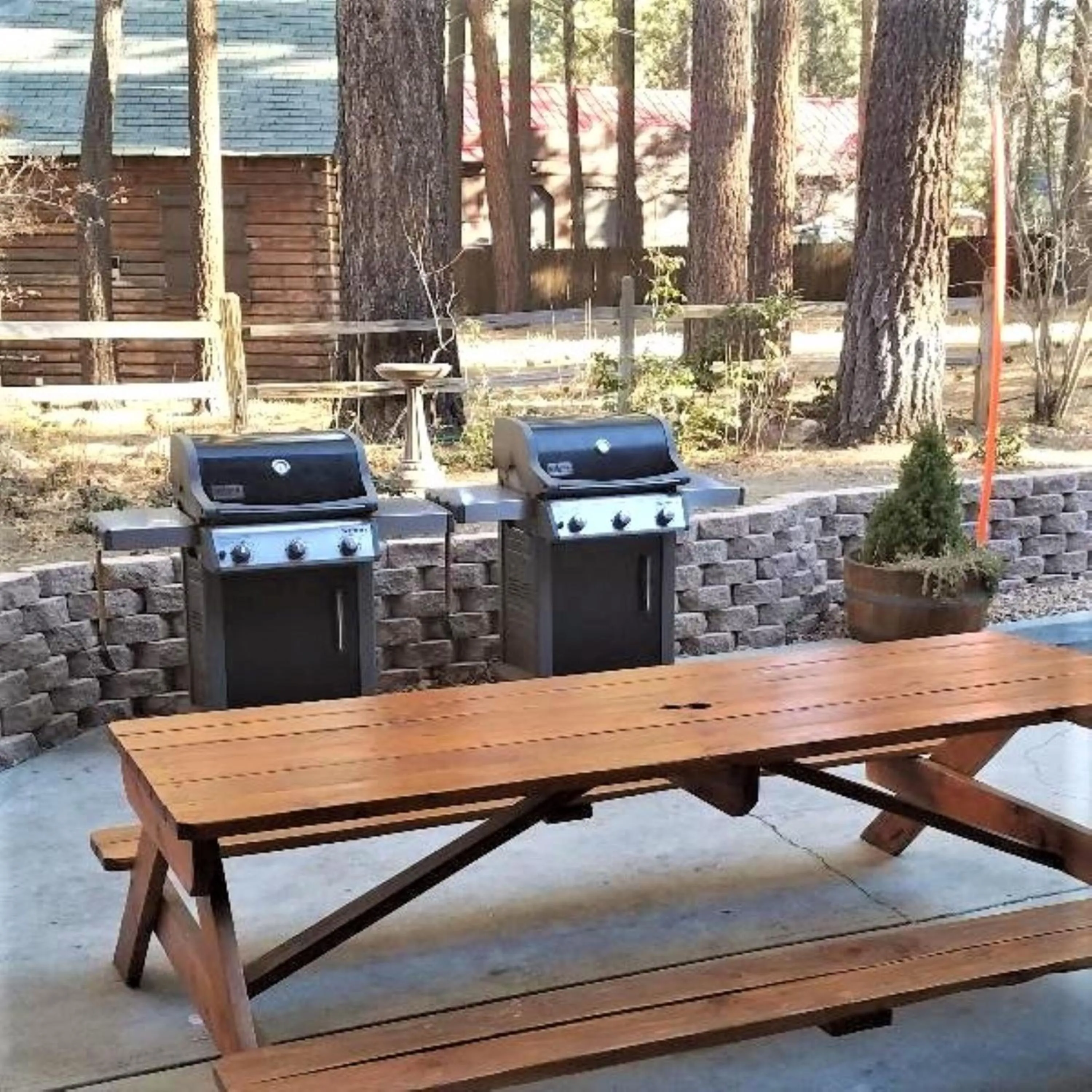 Patio in Snow Lake Lodge