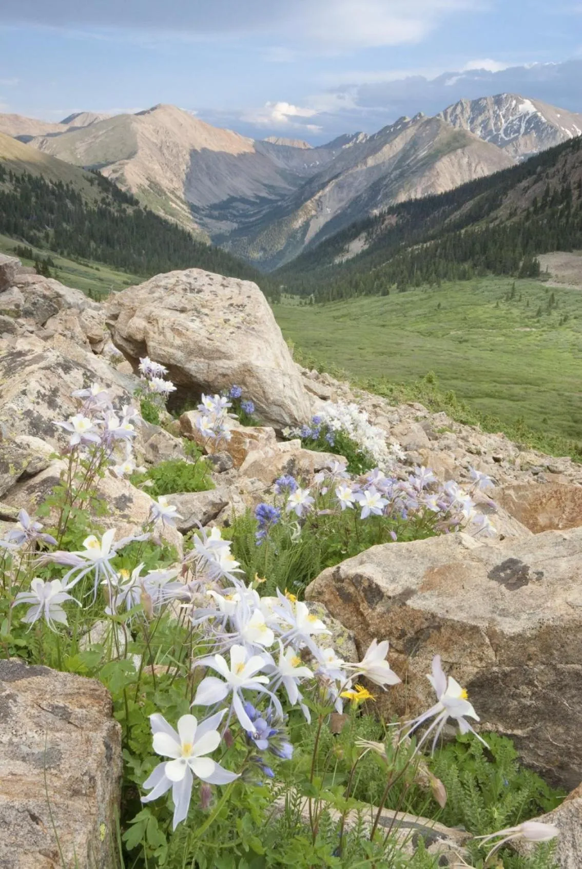 Area and facilities in Denver Marriott West