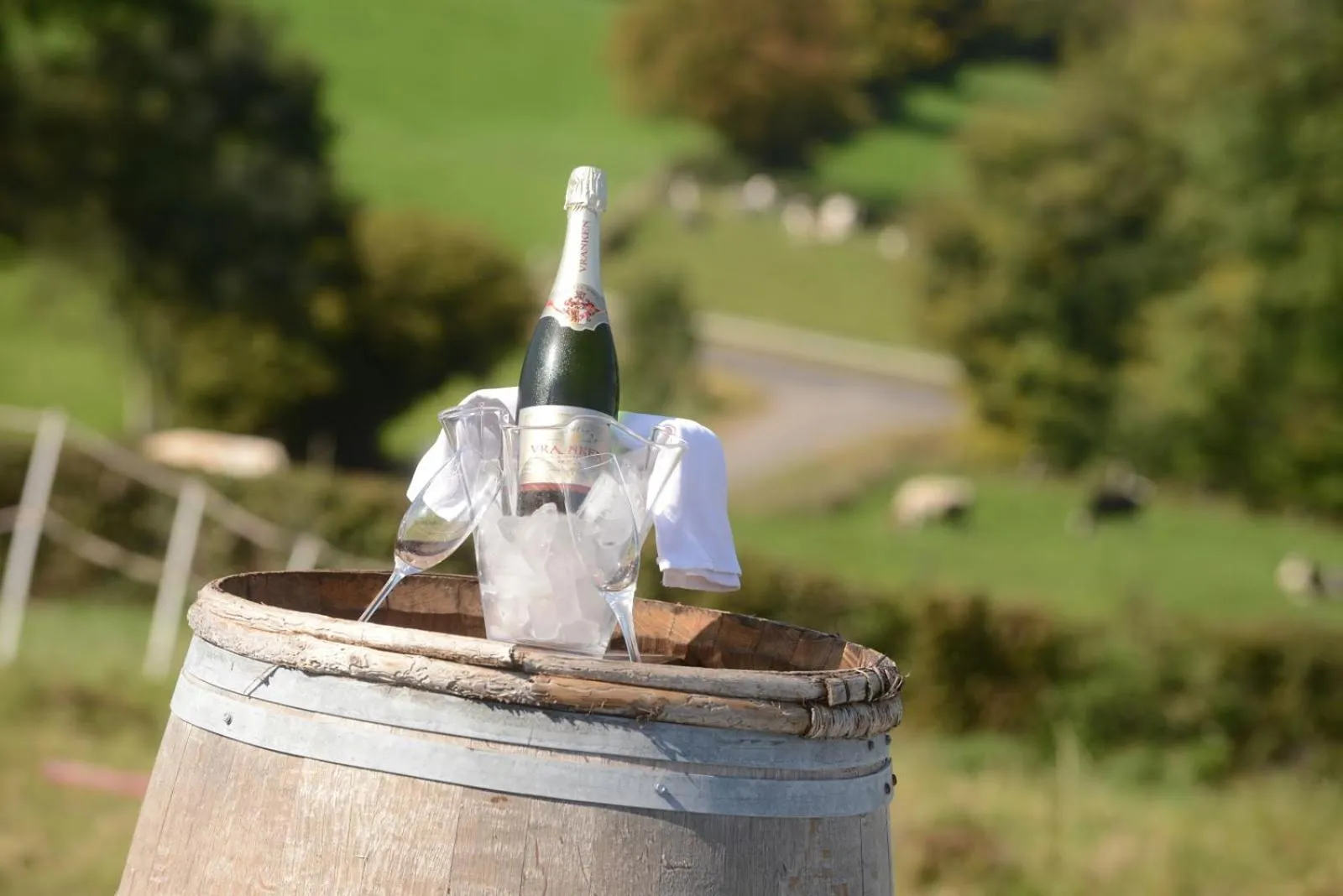 Garden view in Les Coteaux du Vinave