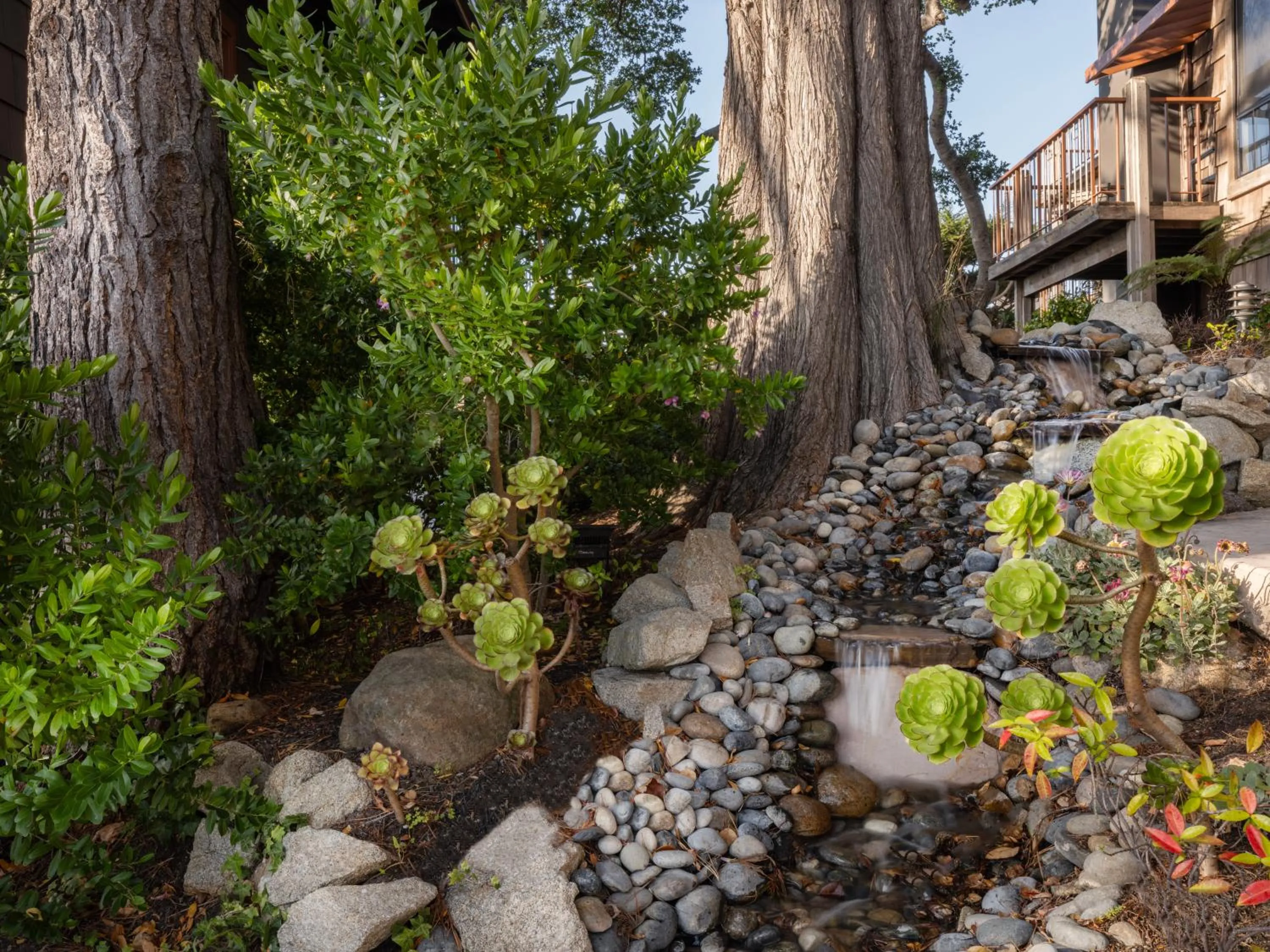 Garden in Hyatt Carmel Highlands