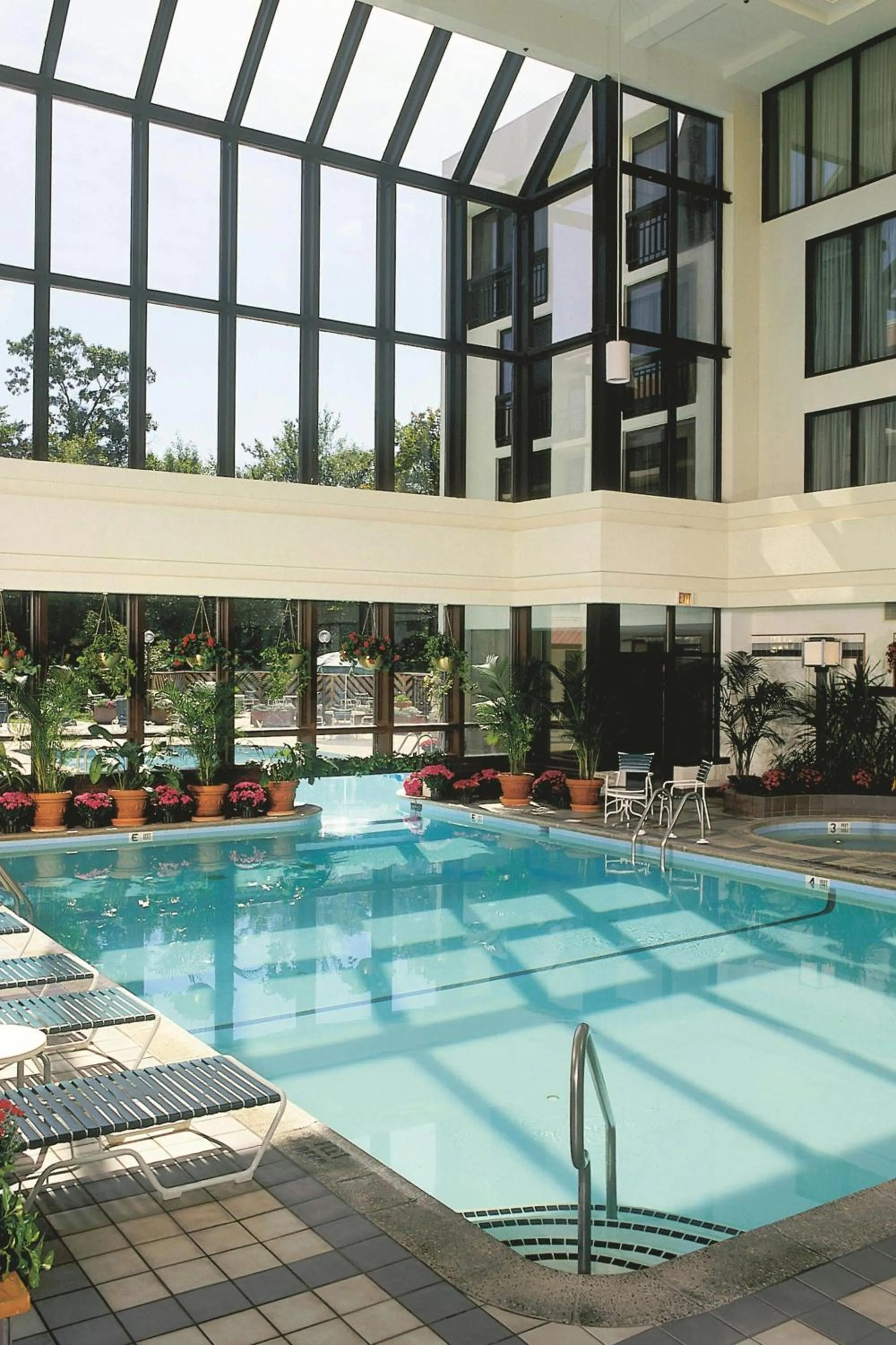 Swimming pool in Marriott Park Ridge