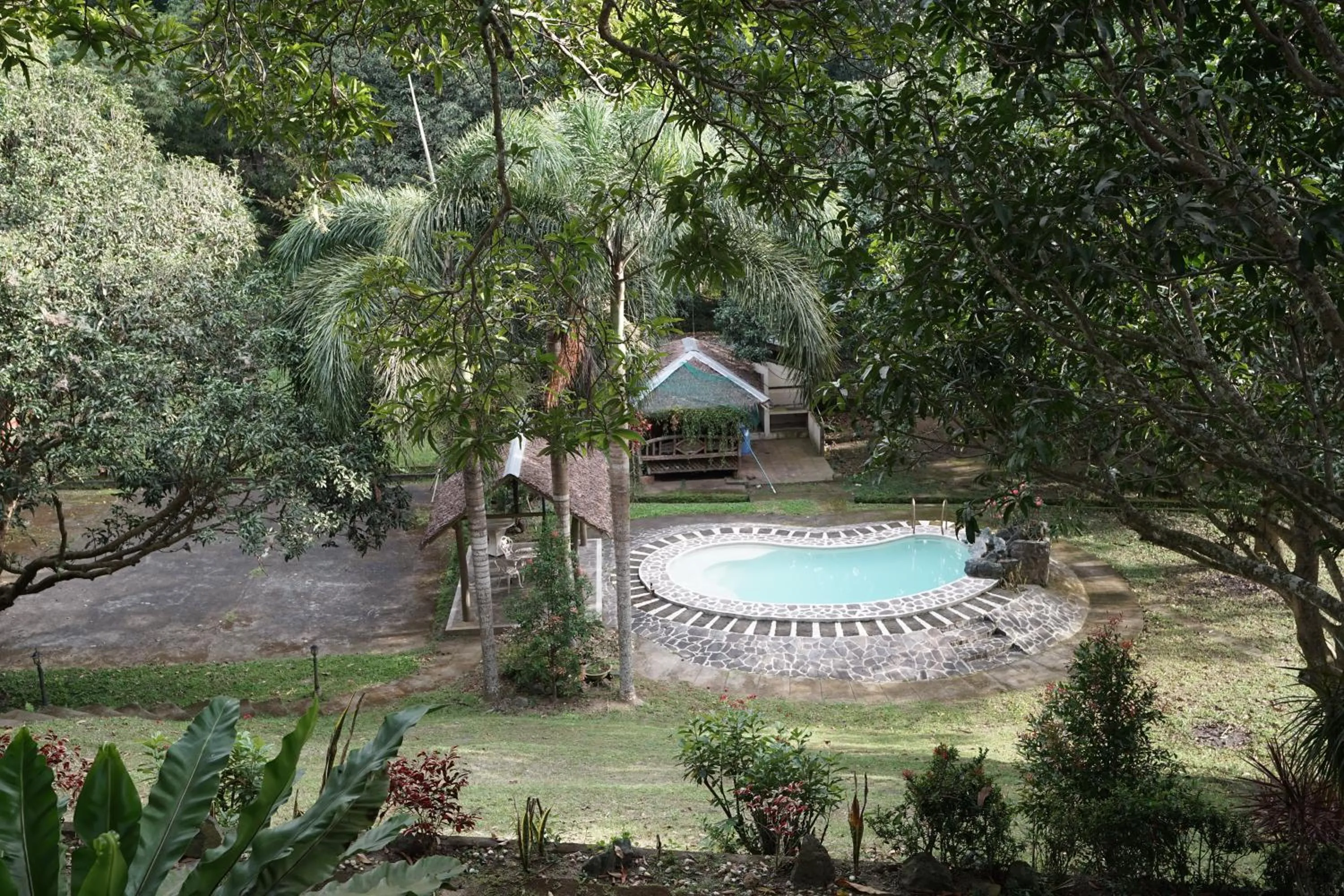 Pool view in Plantacion Isabelle