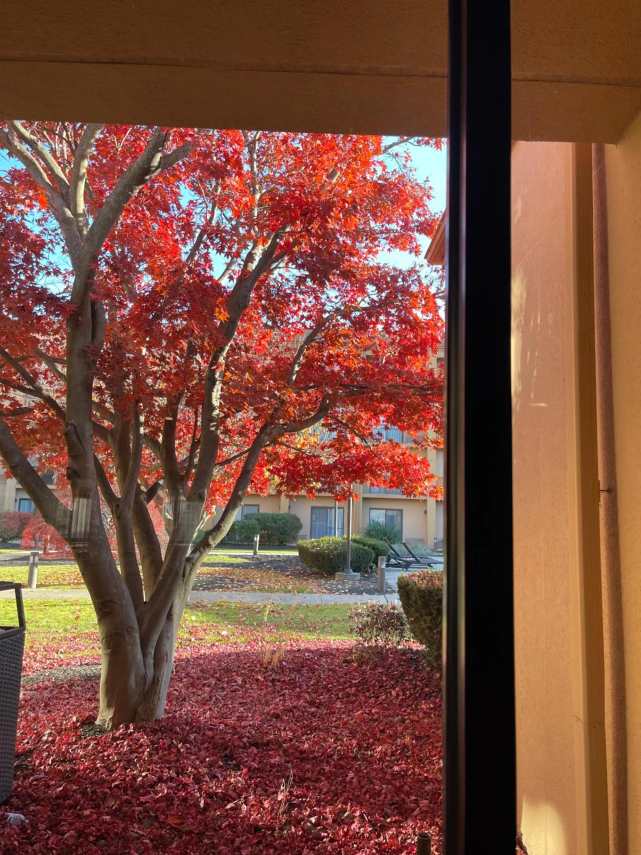 Inner courtyard view in Courtyard by Marriott Fishkill