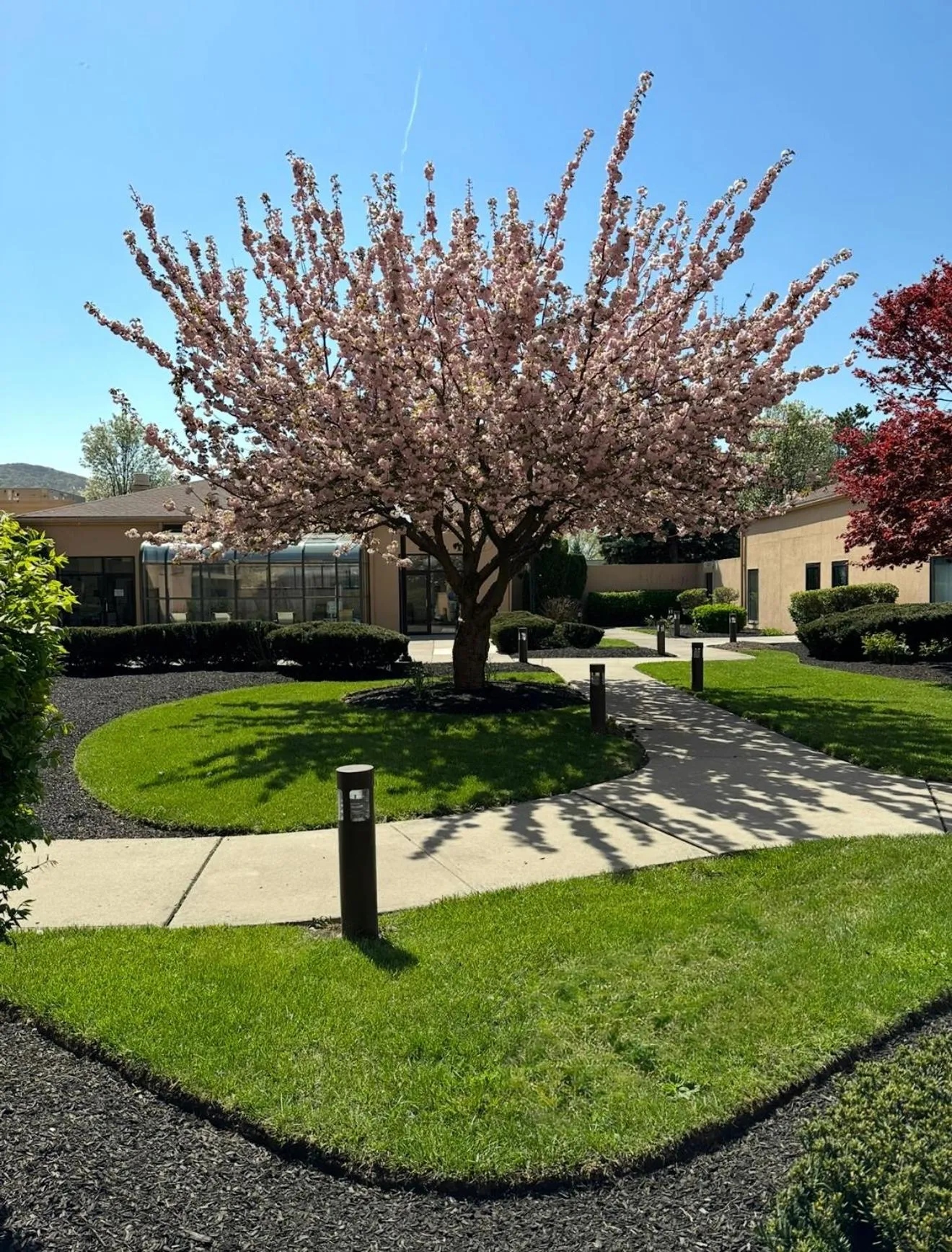 Spring in Courtyard by Marriott Fishkill