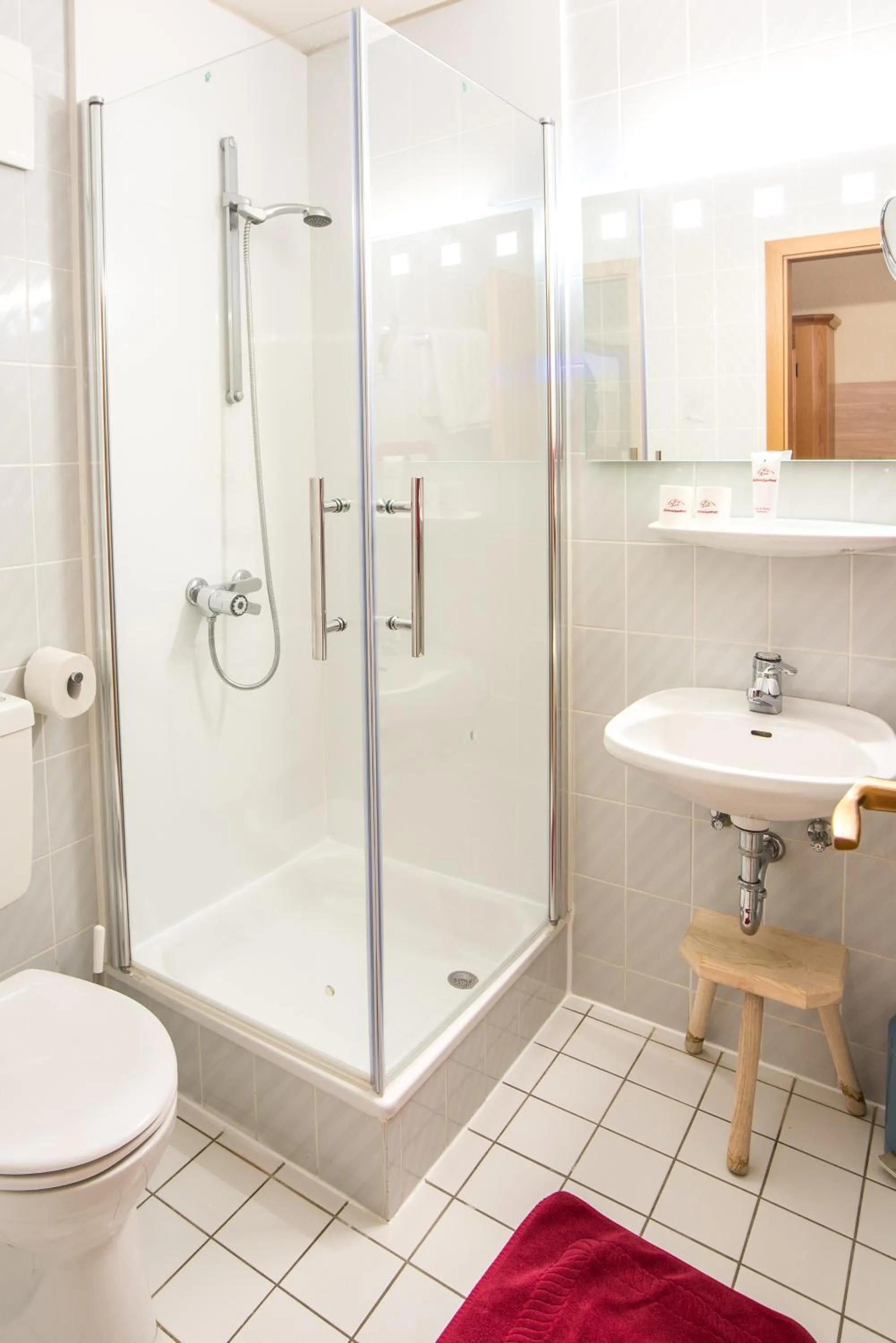 Toilet in Hotel Schweizerhof