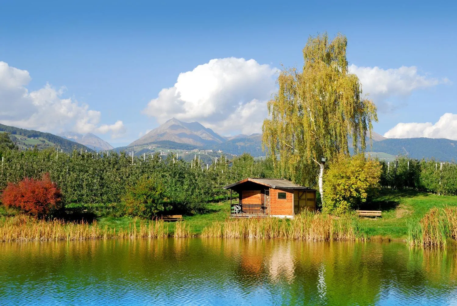 Natural landscape in Hotel Flötscherhof