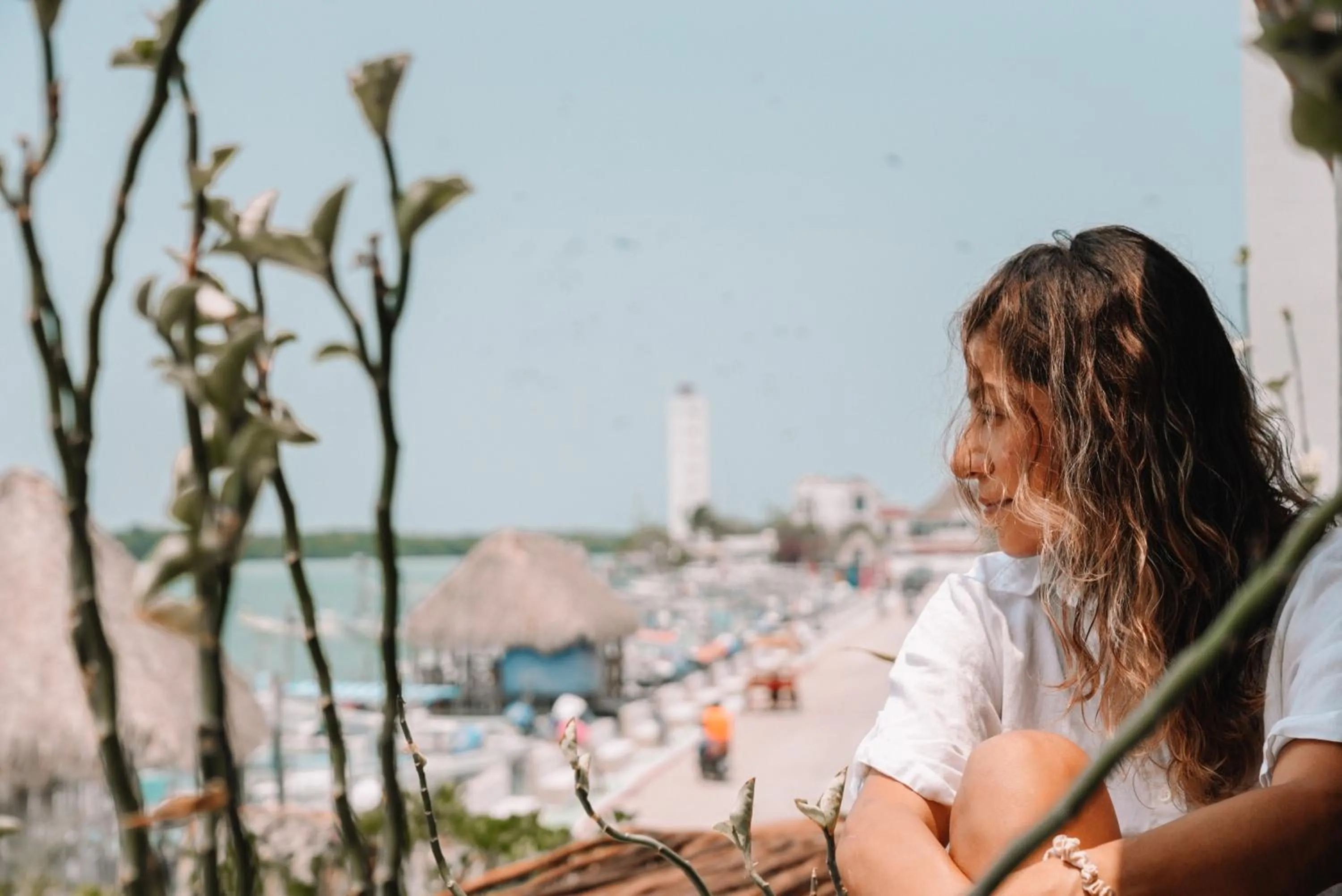 Day in Hotel Rio Lagartos