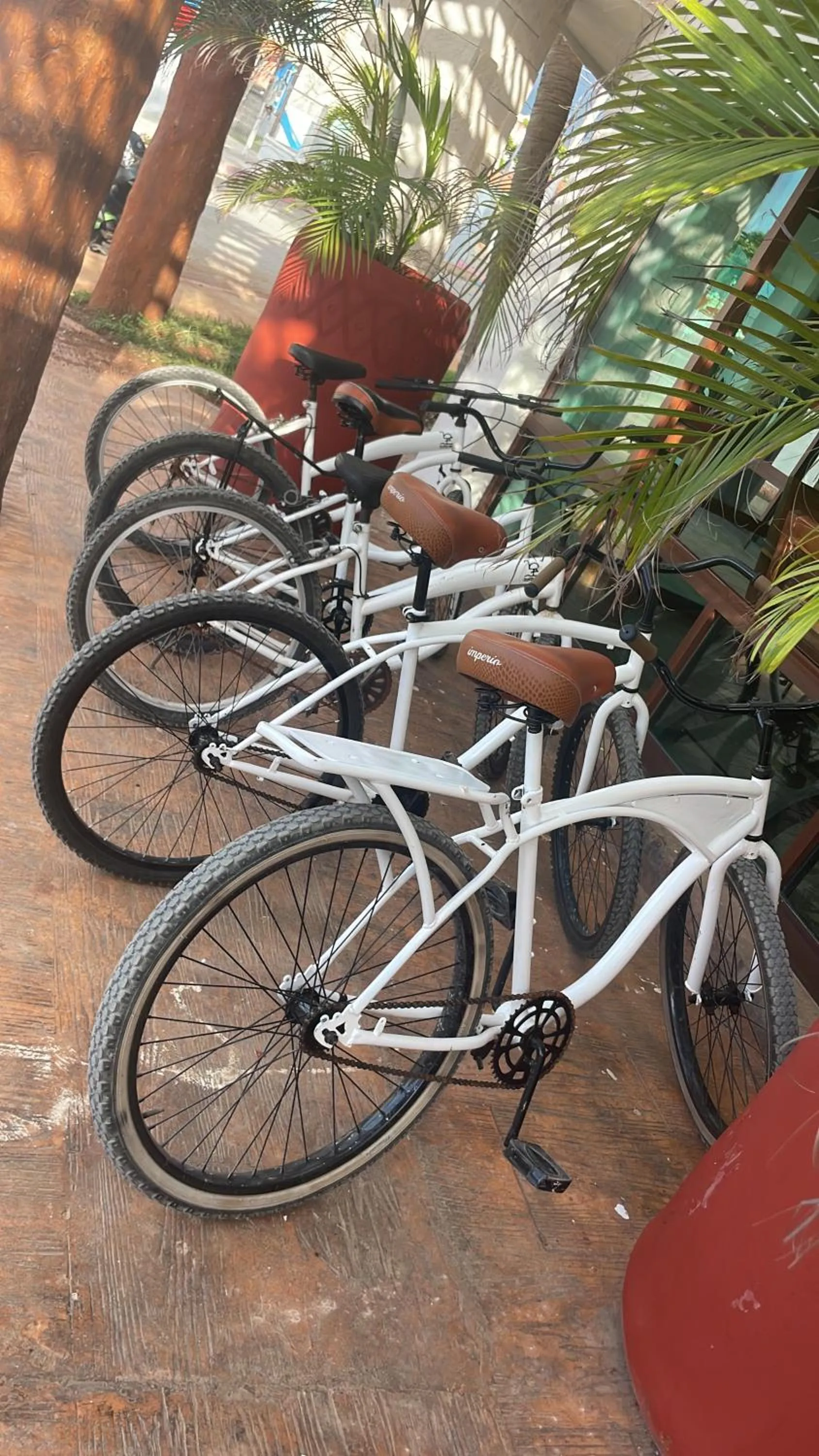 Day in Hotel Rio Lagartos