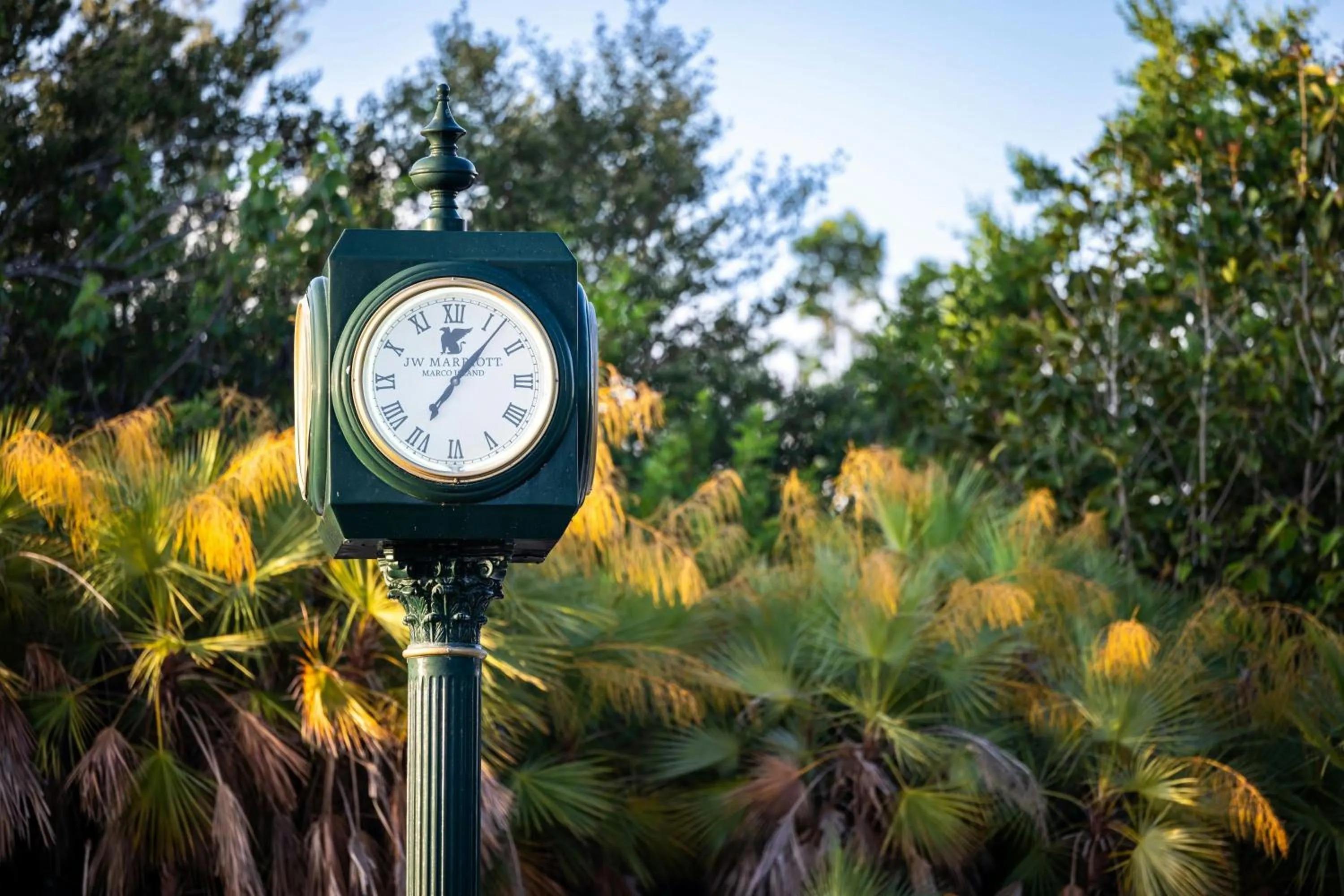Other in JW Marriott Marco Island Beach Resort