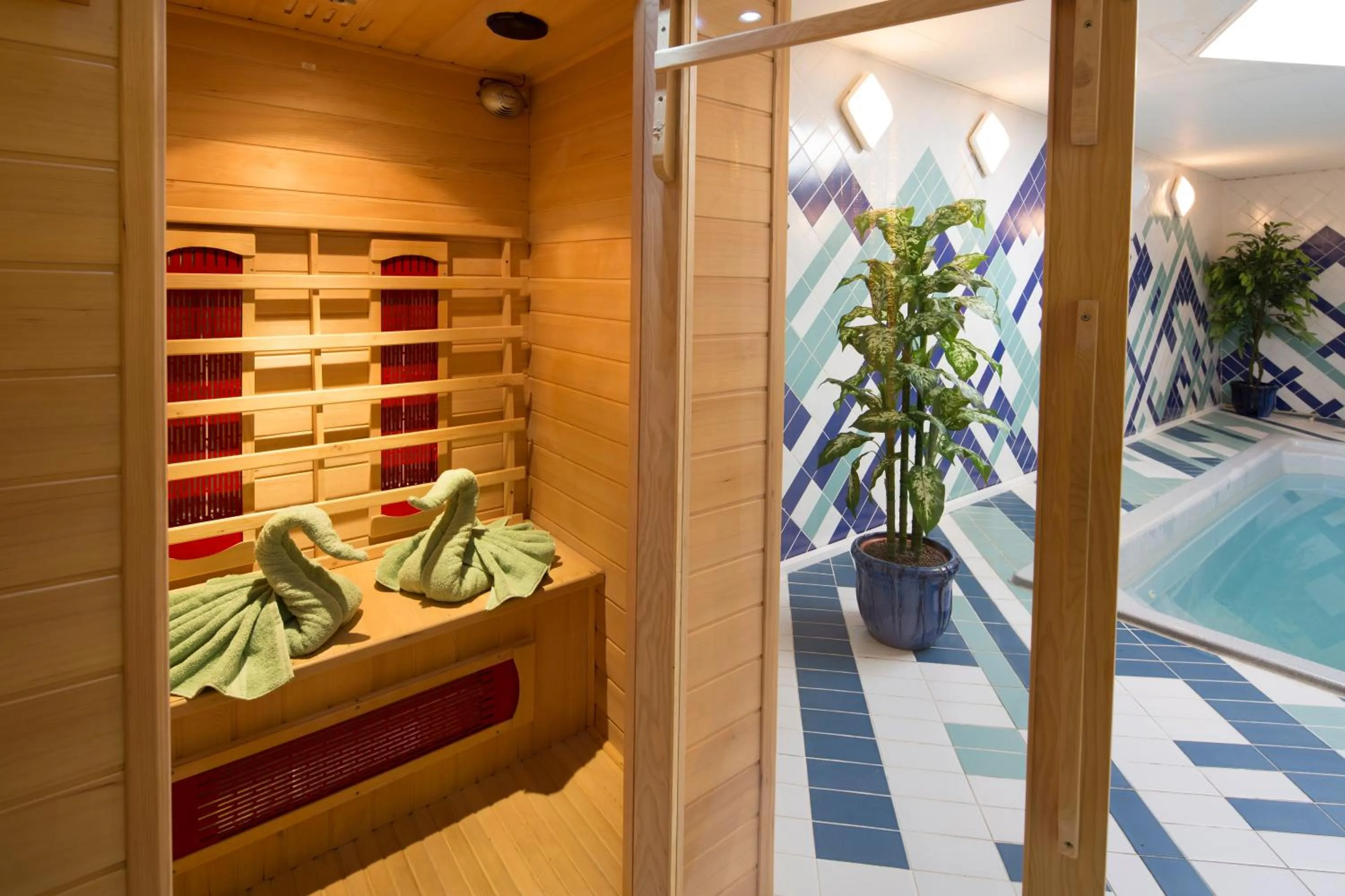 Sauna in Hotel Hořec