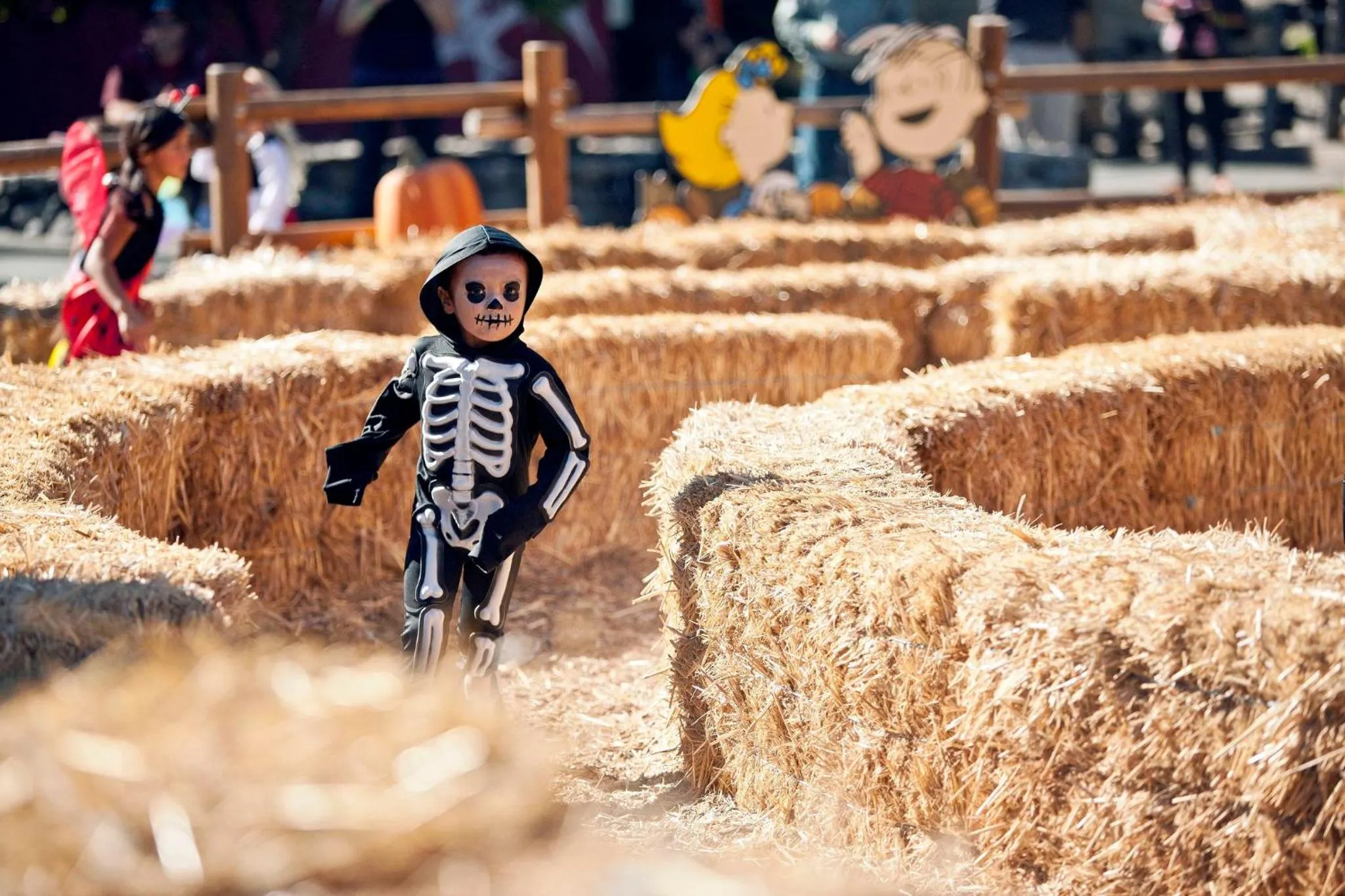 Nearby landmark in Holiday Inn Express Toronto-North York by IHG