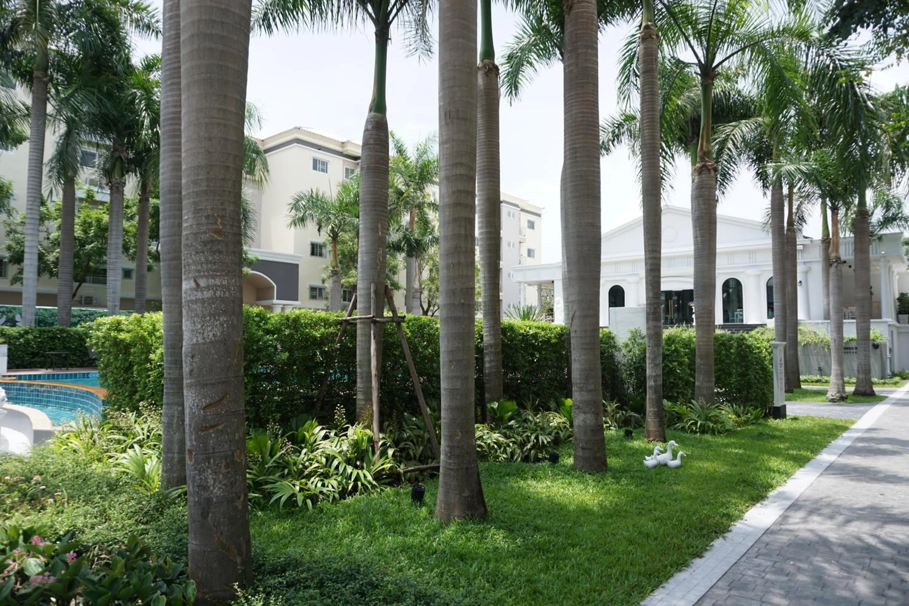 The Green View Hotel