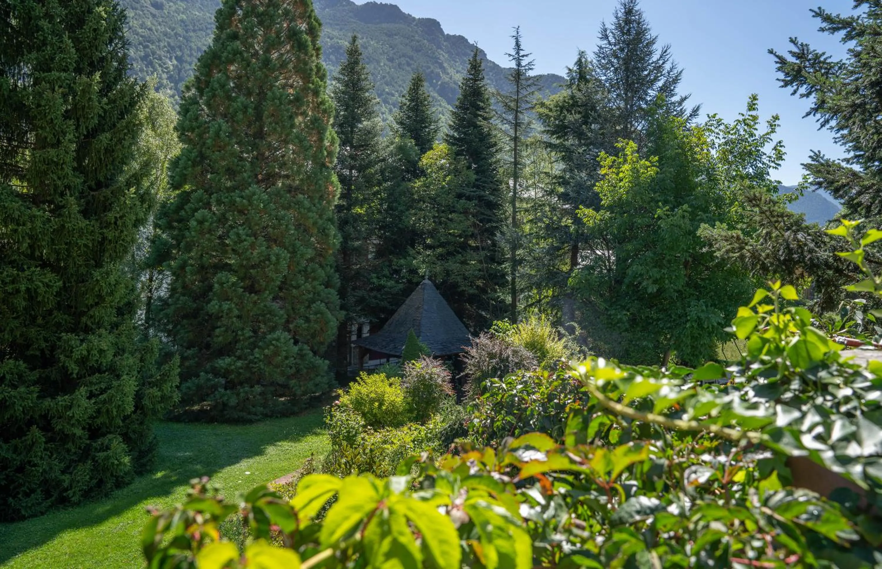 Garden in Hotel Cardós