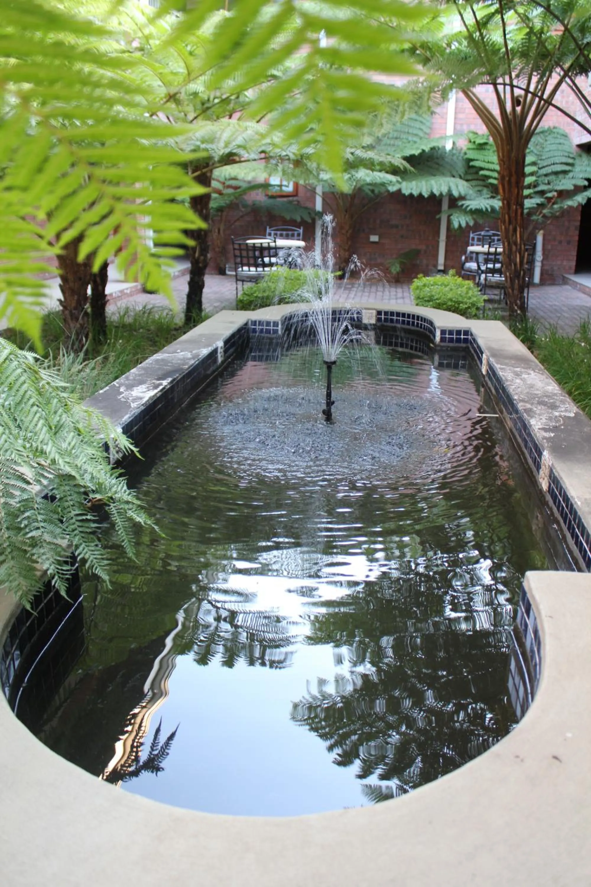 Garden view in Mosate Lodge