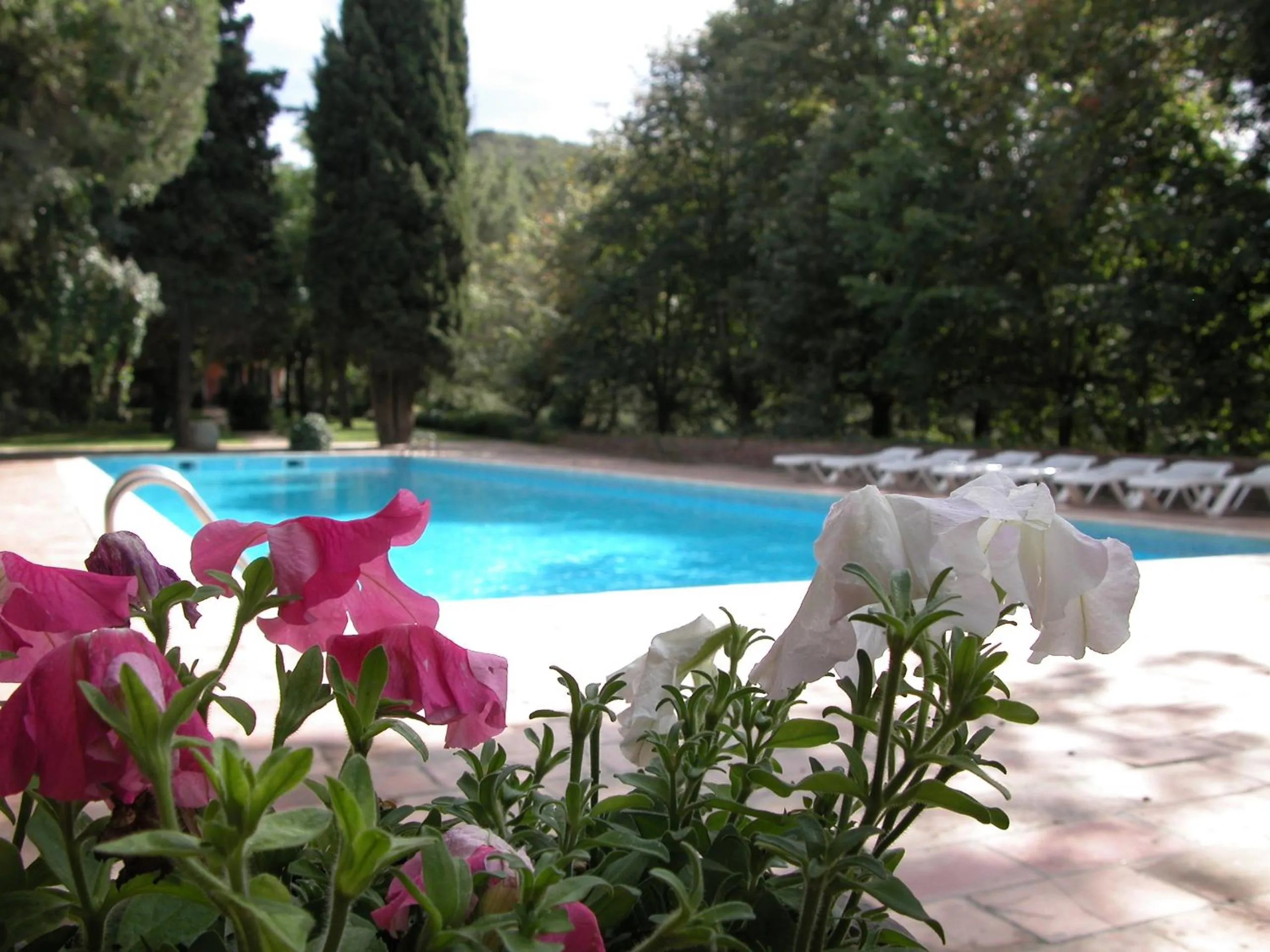 Swimming pool in Masia Vista Hermosa