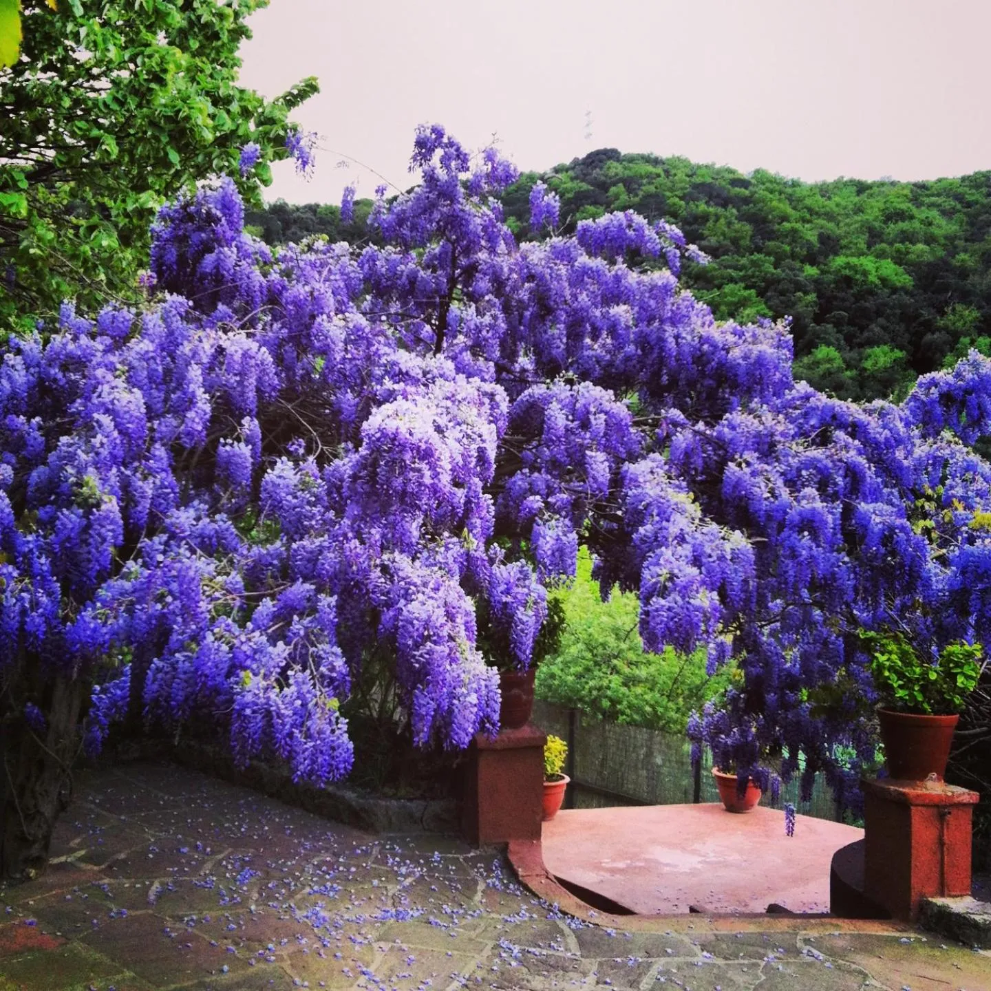 Other in Masia Vista Hermosa