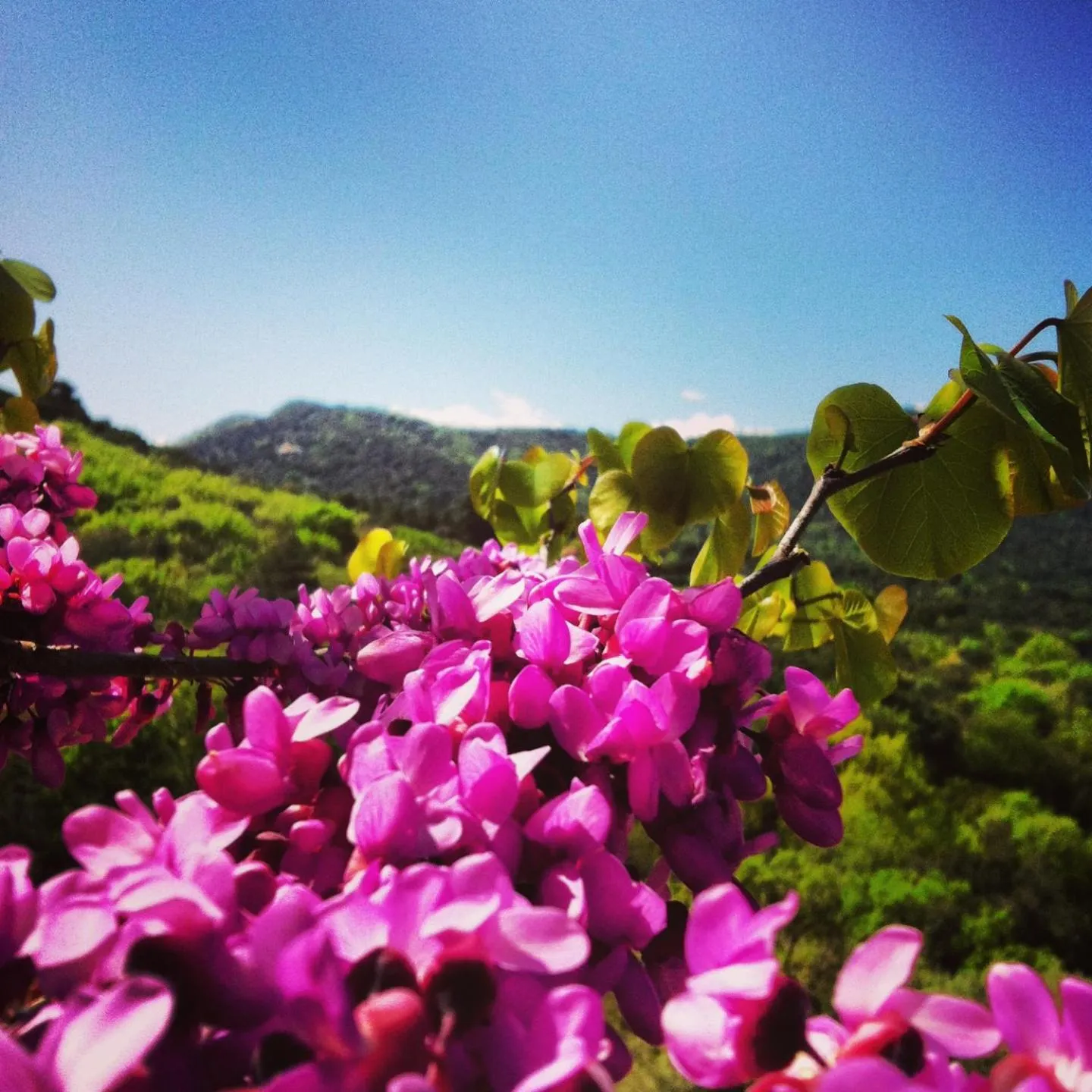 Other in Masia Vista Hermosa