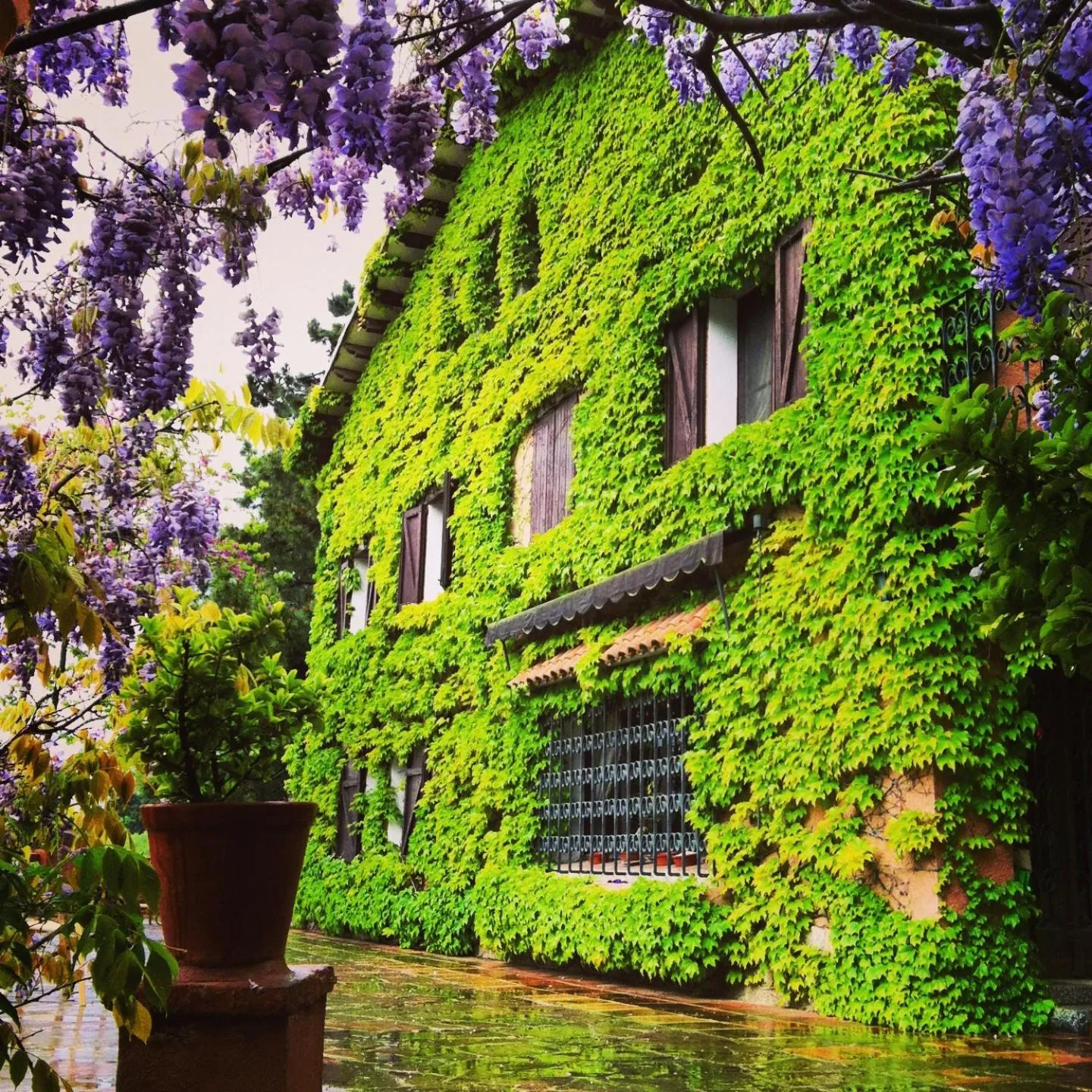 Facade/entrance in Masia Vista Hermosa