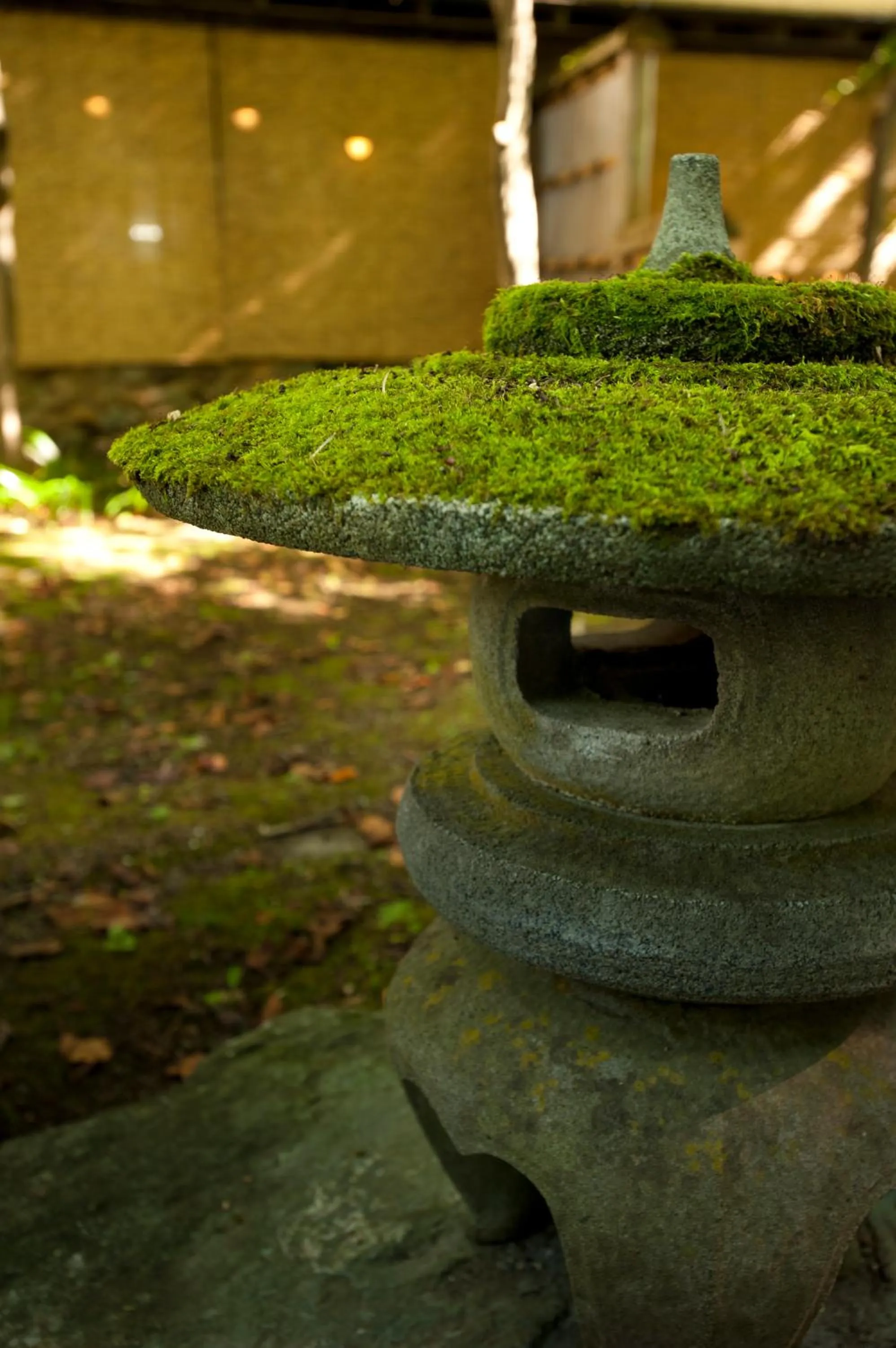 Summer in Kazen no Sho