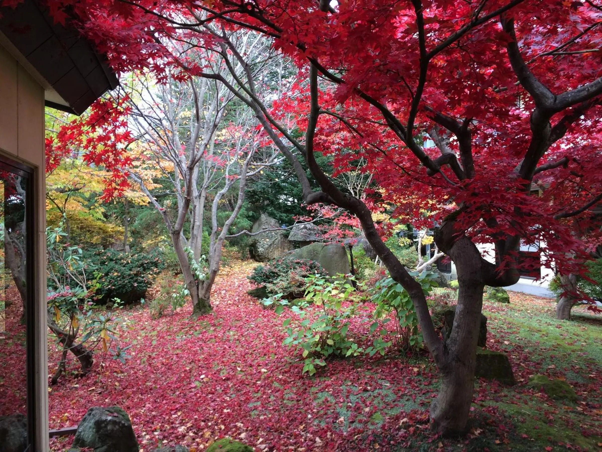Garden in Kazen no Sho
