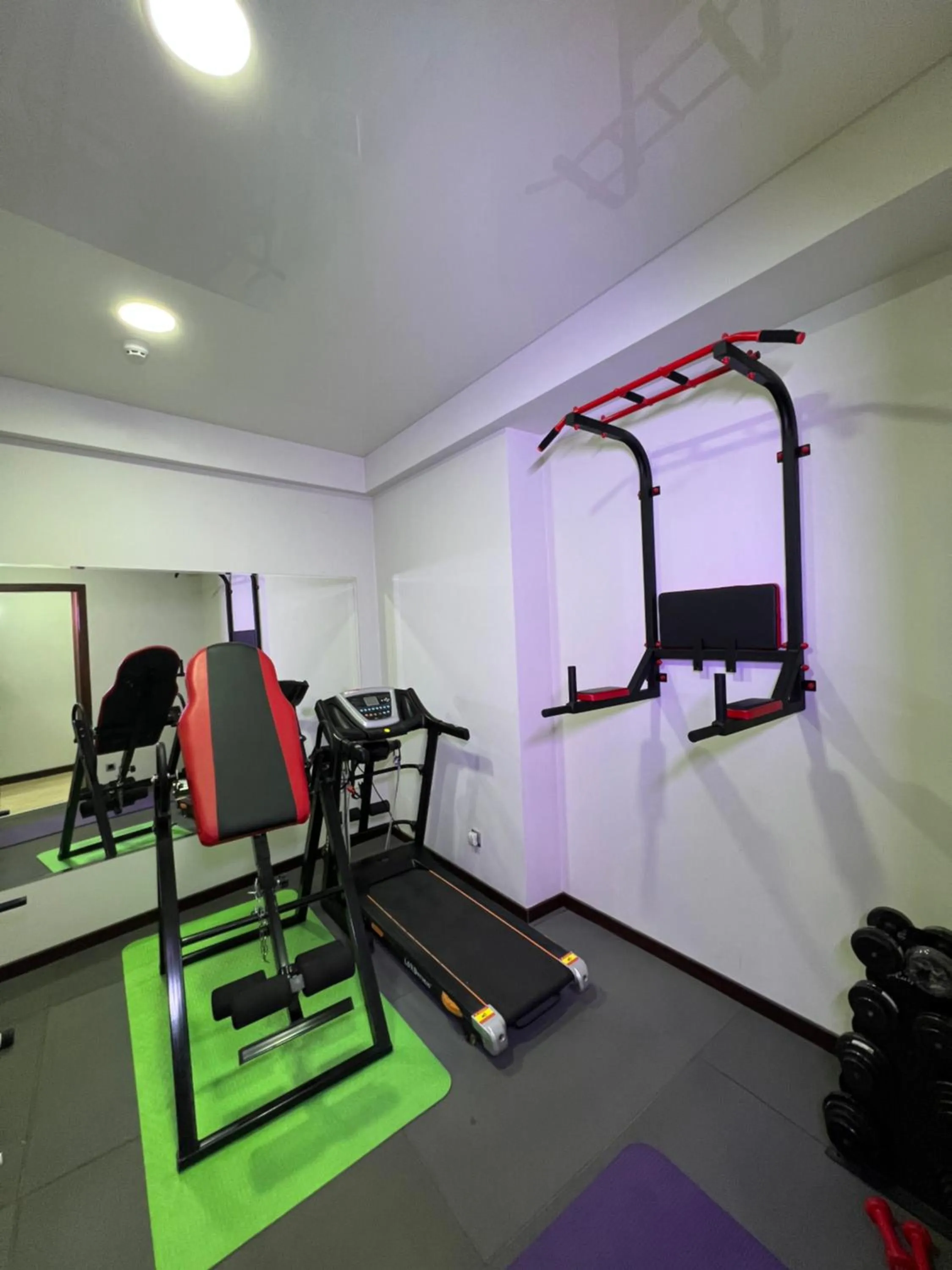 Fitness centre/facilities in Palace Hotel Tashkent