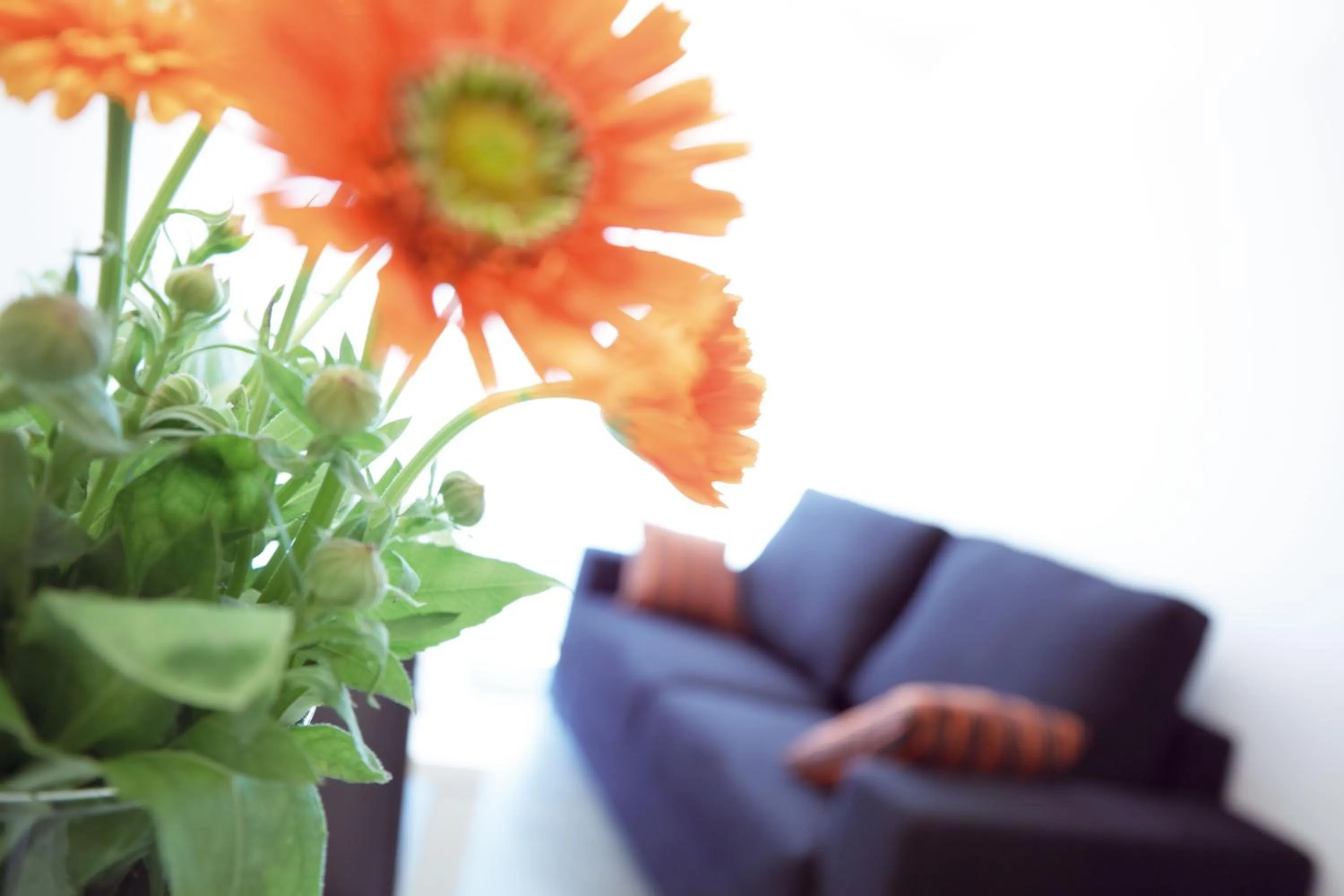 Other in 08028 Apartments