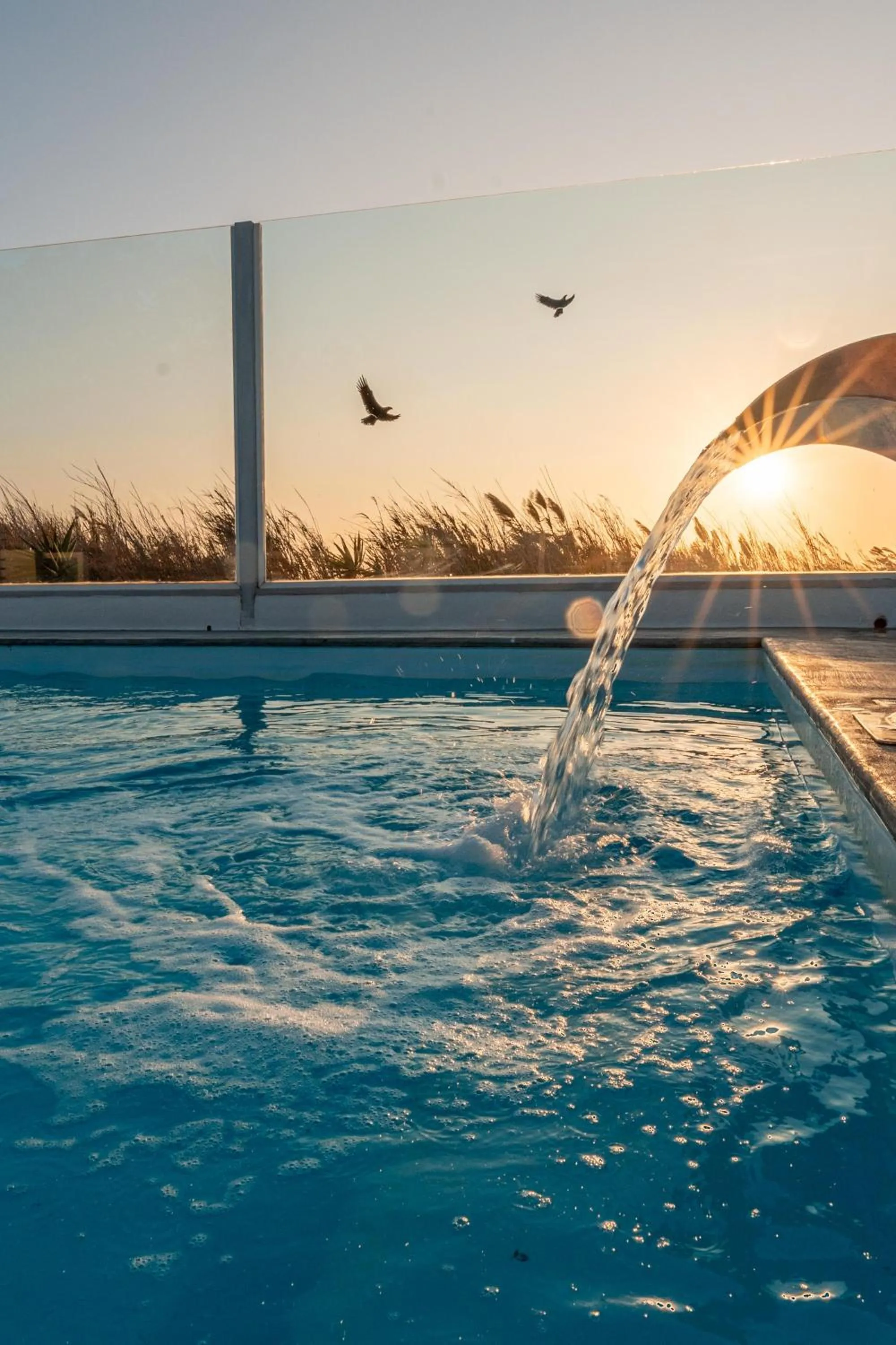 Swimming pool in La Stella Stay