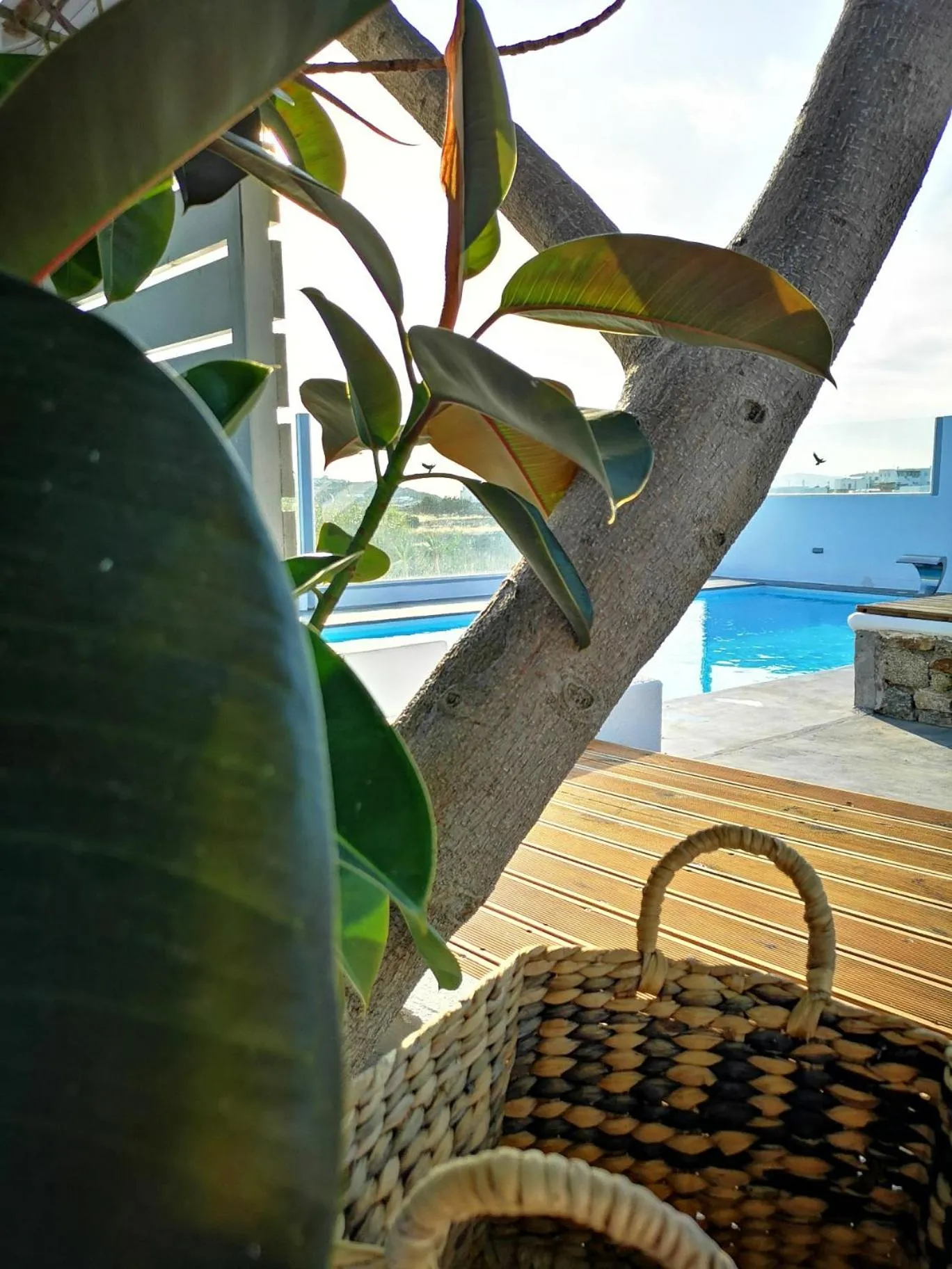 Day in La Stella Stay