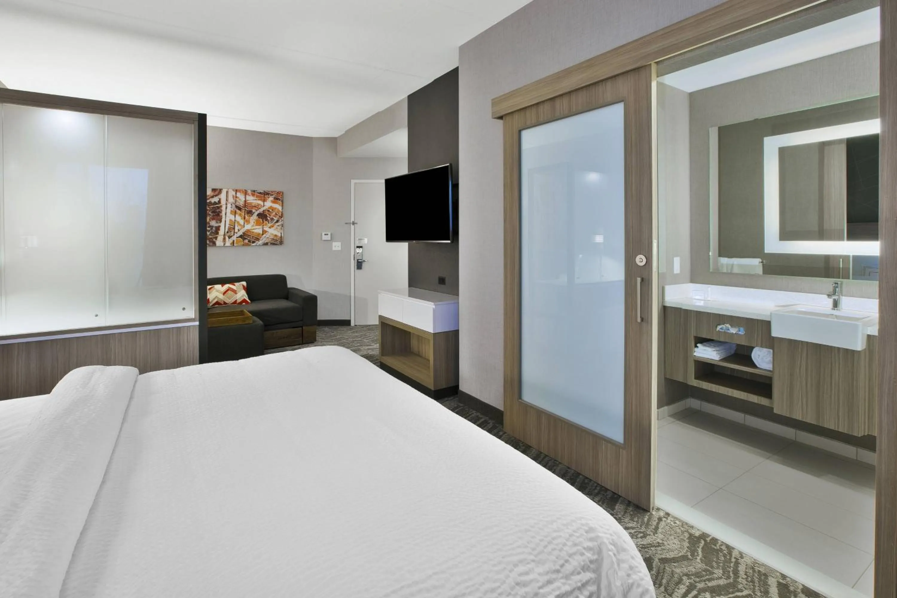 Photo of the whole room, Bed in SpringHill Suites by Marriott Chattanooga North/Ooltewah