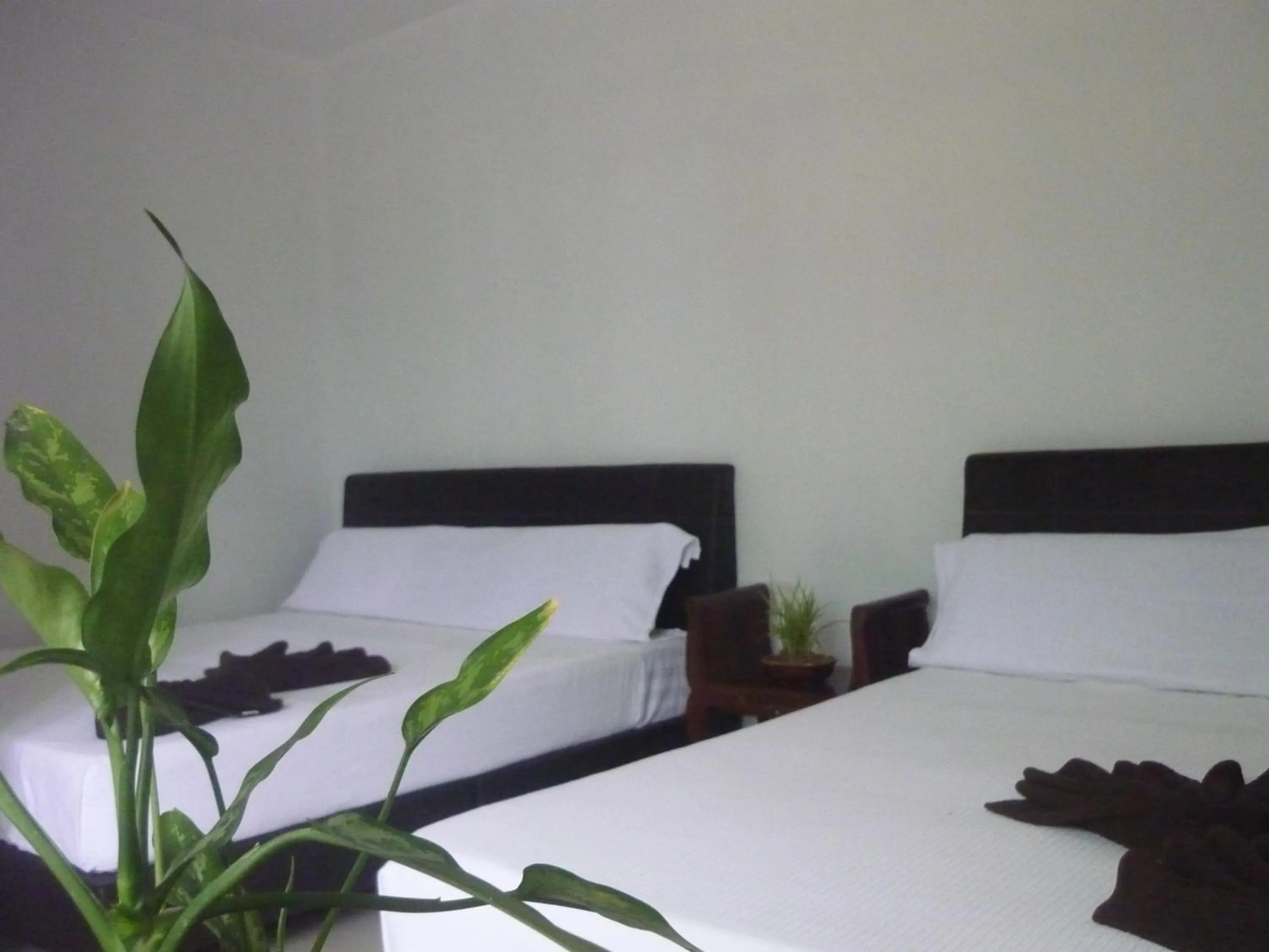 Bed in Hotel Paka INN