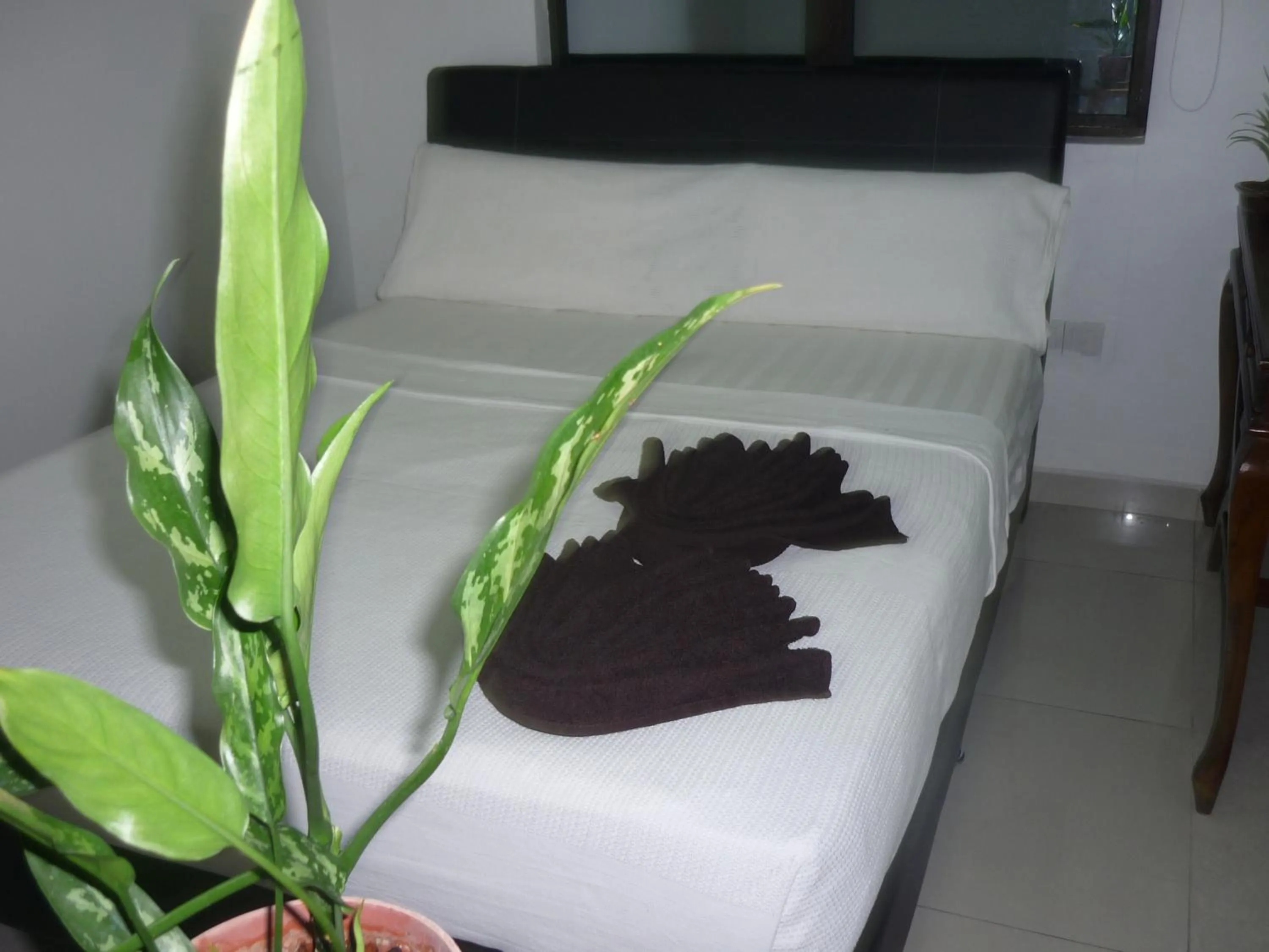 Bed in Hotel Paka INN