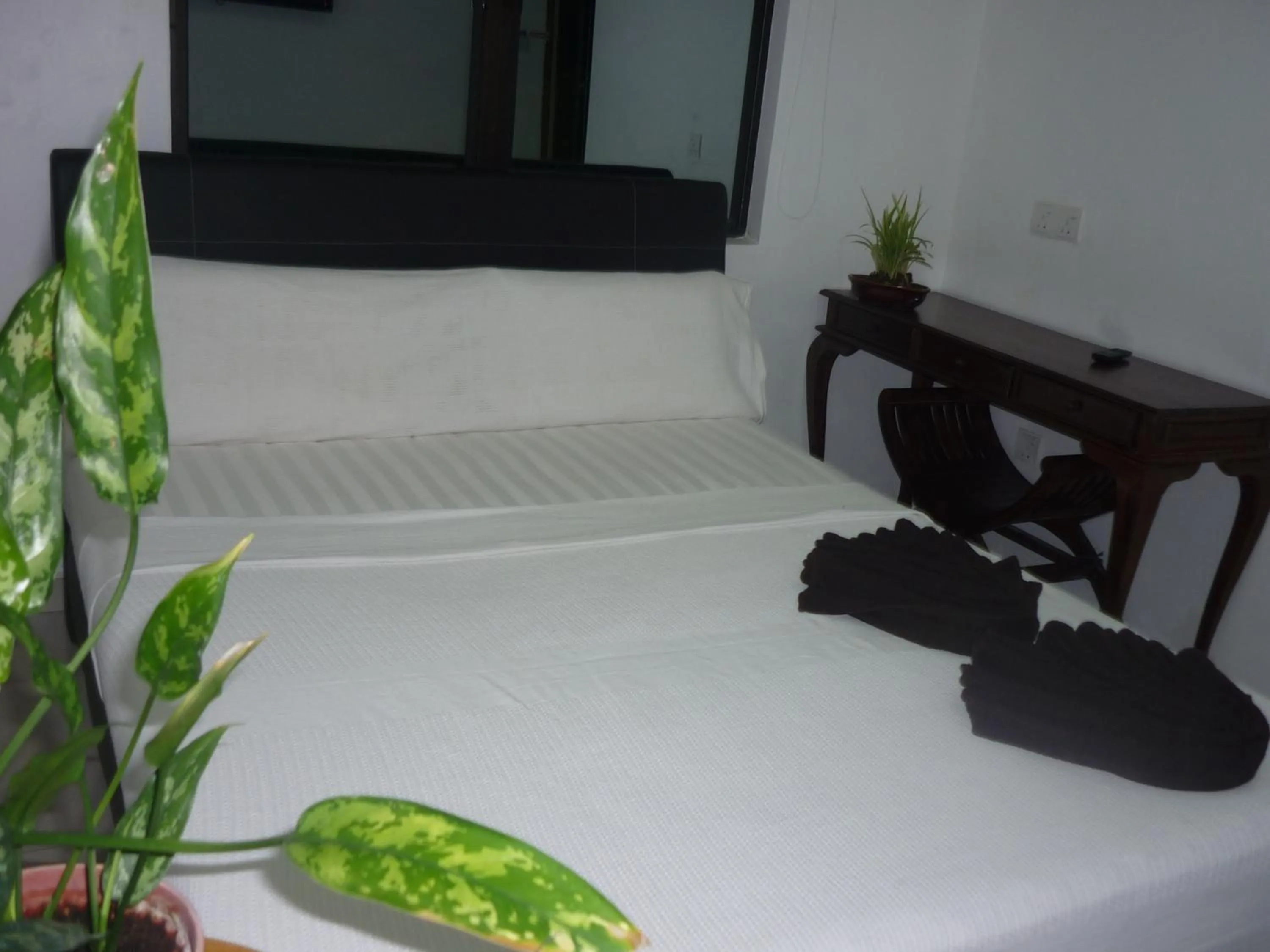 Bed in Hotel Paka INN