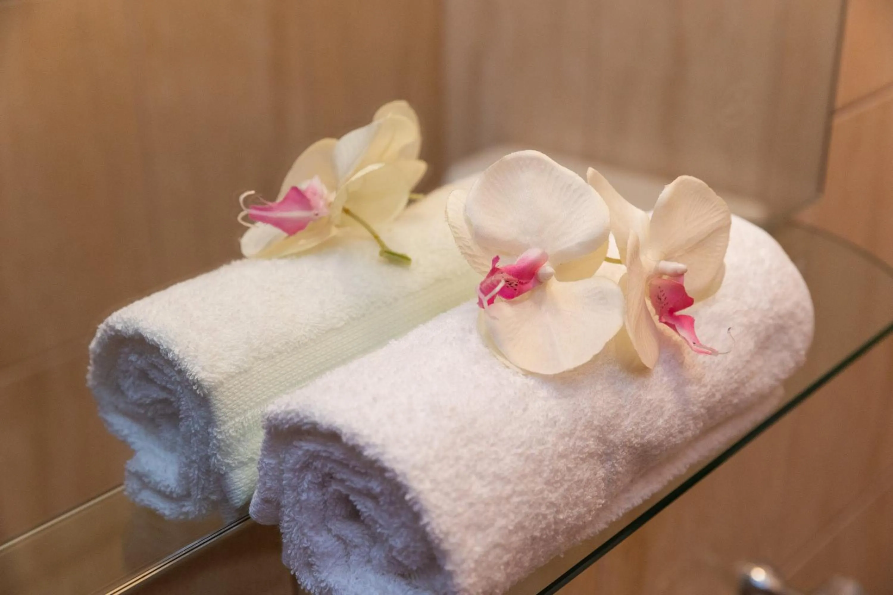 towels in Villa Erna