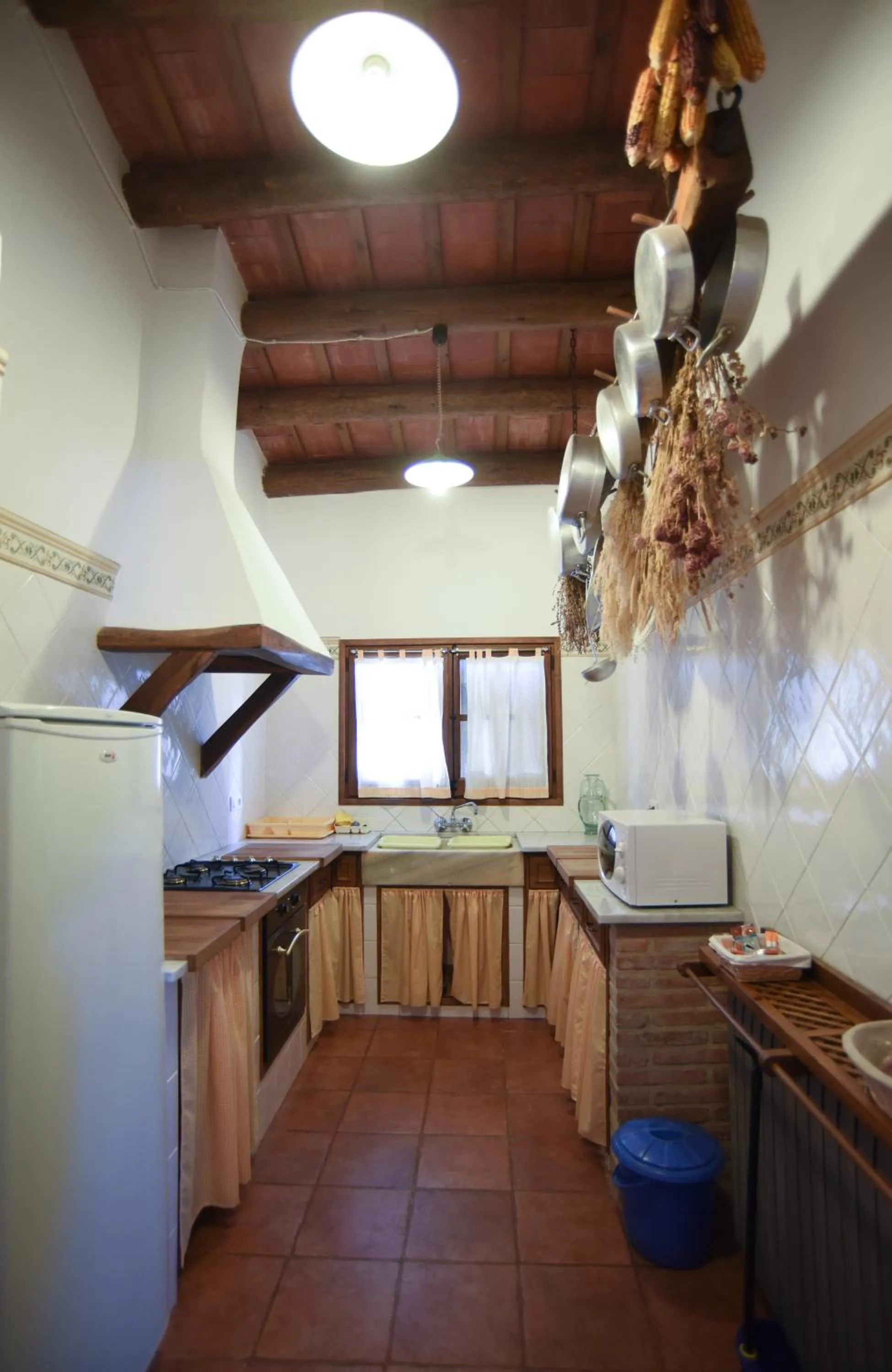 Communal kitchen in Turisme Rural Mas Isoles