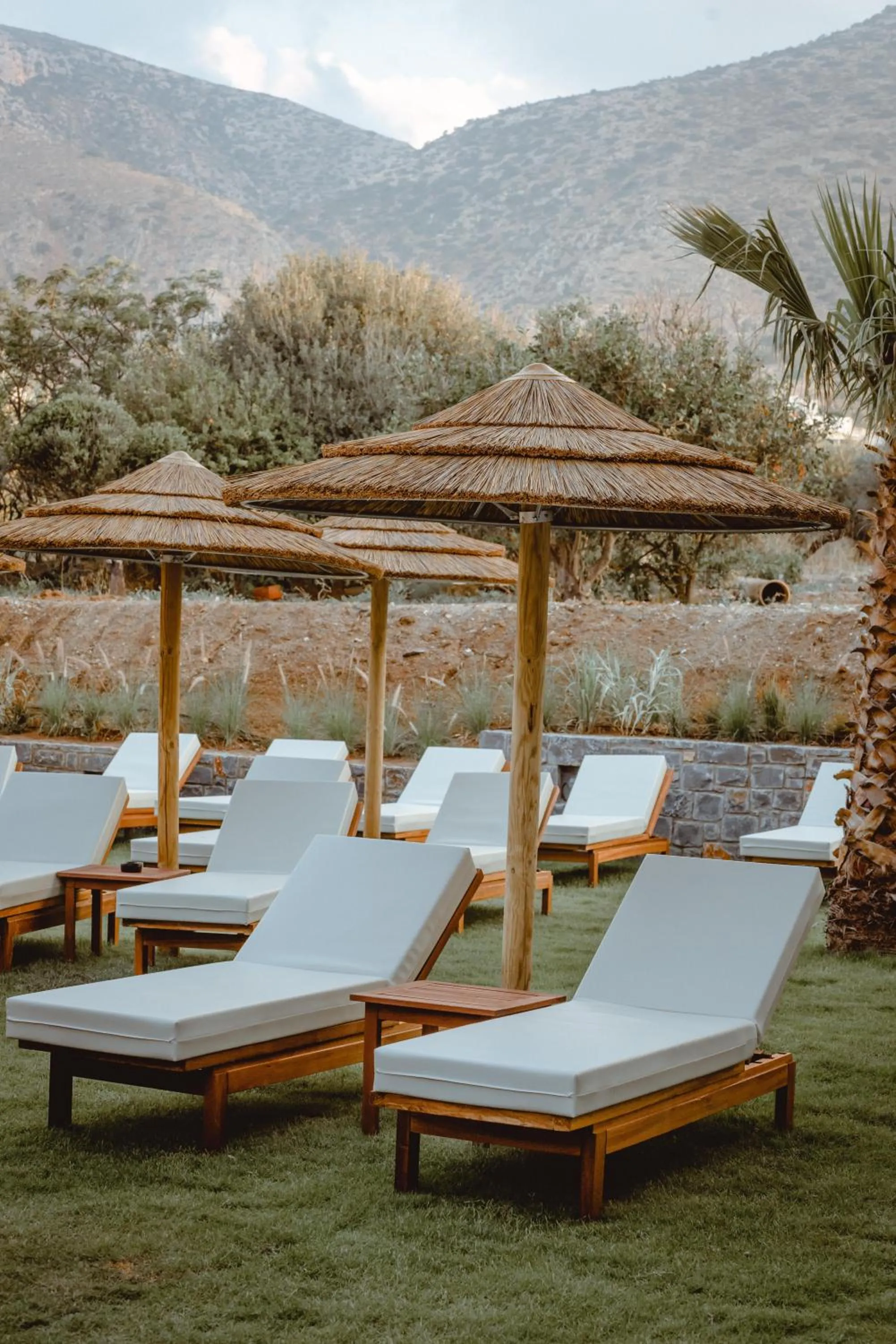 Garden in Cook's Club Hersonissos Crete