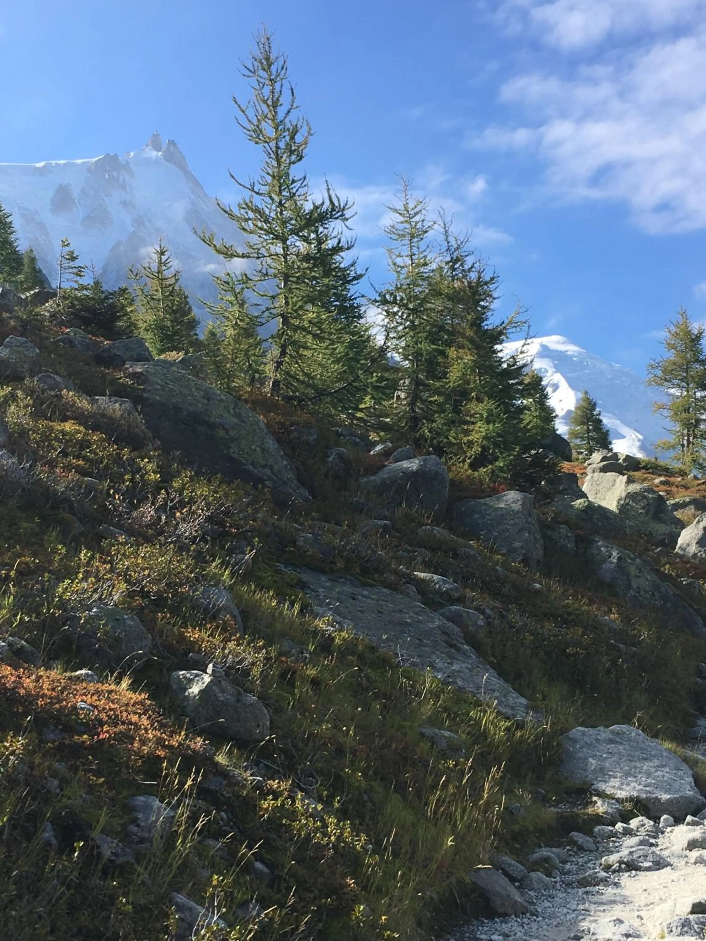 Natural landscape in Aiguille du Midi - Hôtel & Restaurant