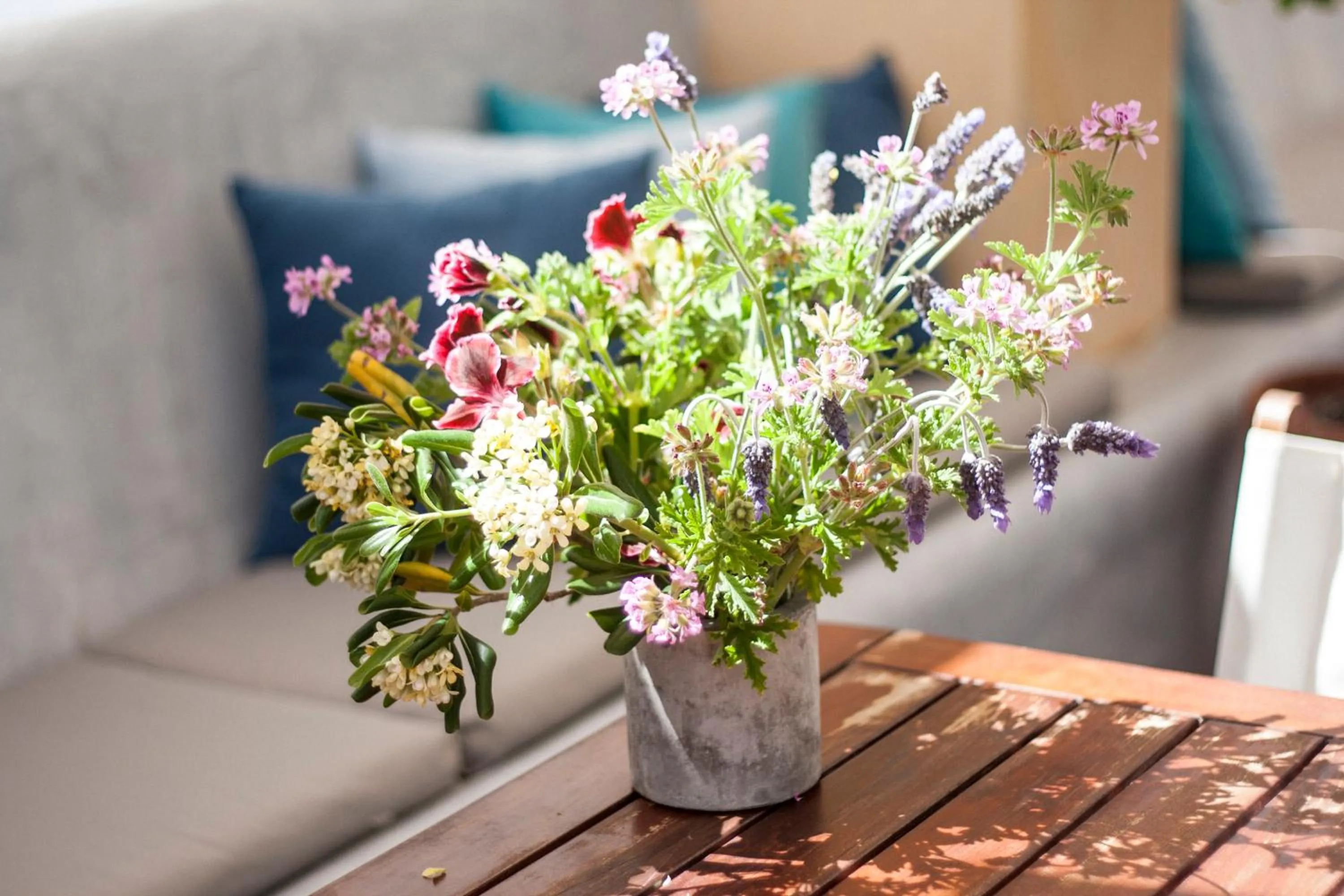 Balcony/Terrace in Argonauta Hotel
