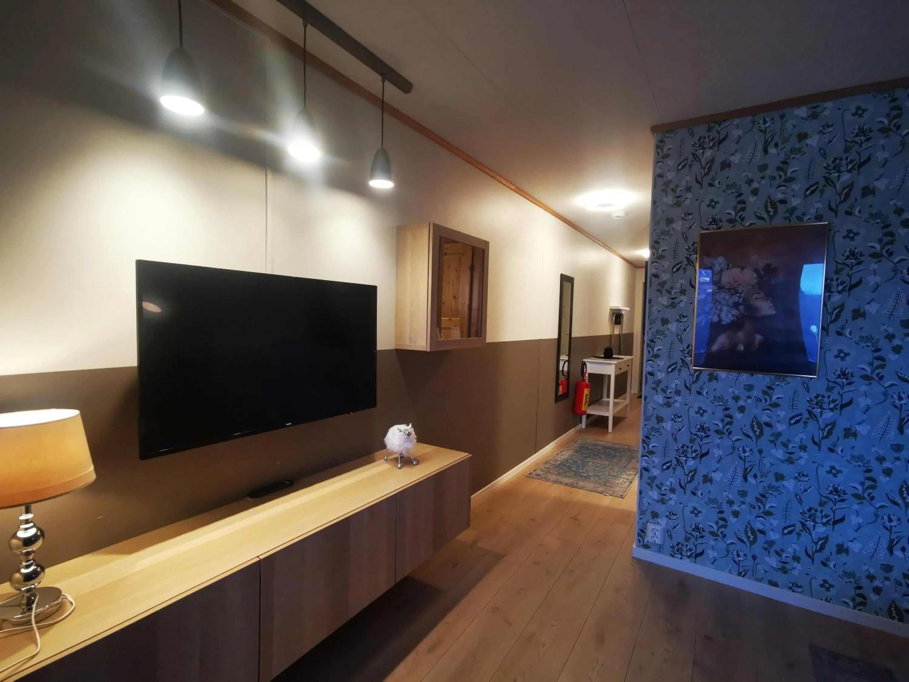 TV and multimedia in Flåm Marina