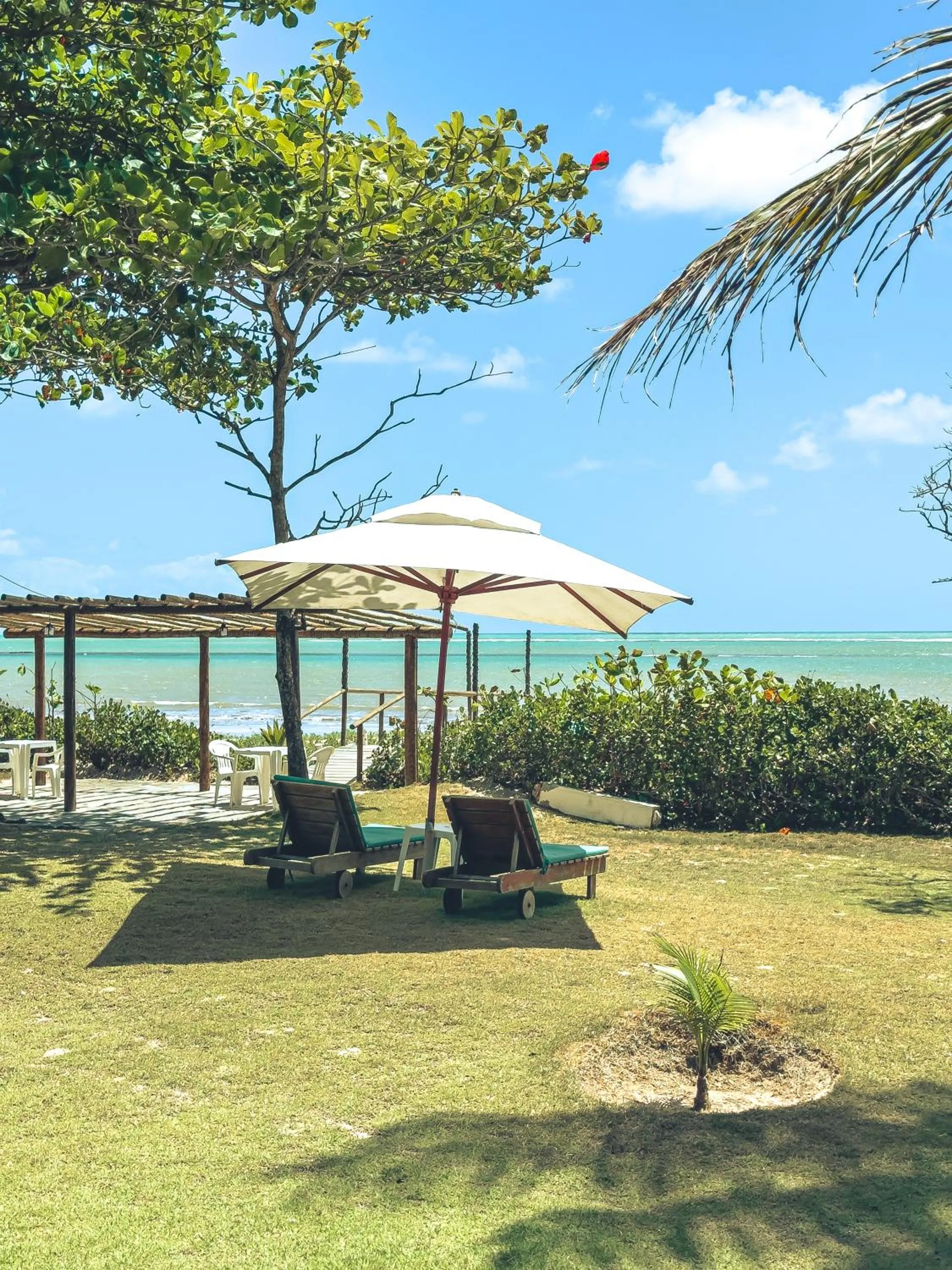 Spring in Igarakuê Flat