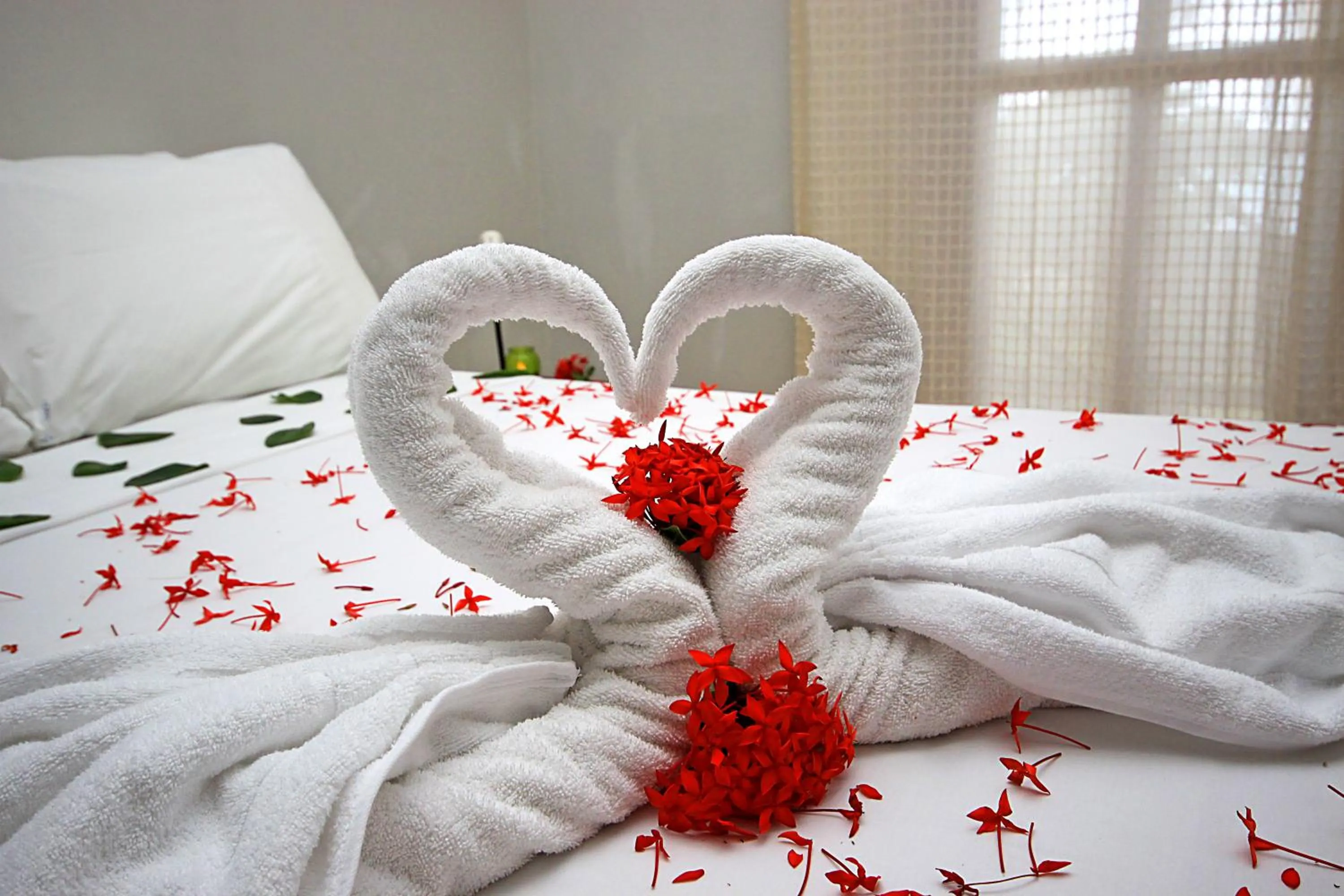 Bed in Igarakuê Flat