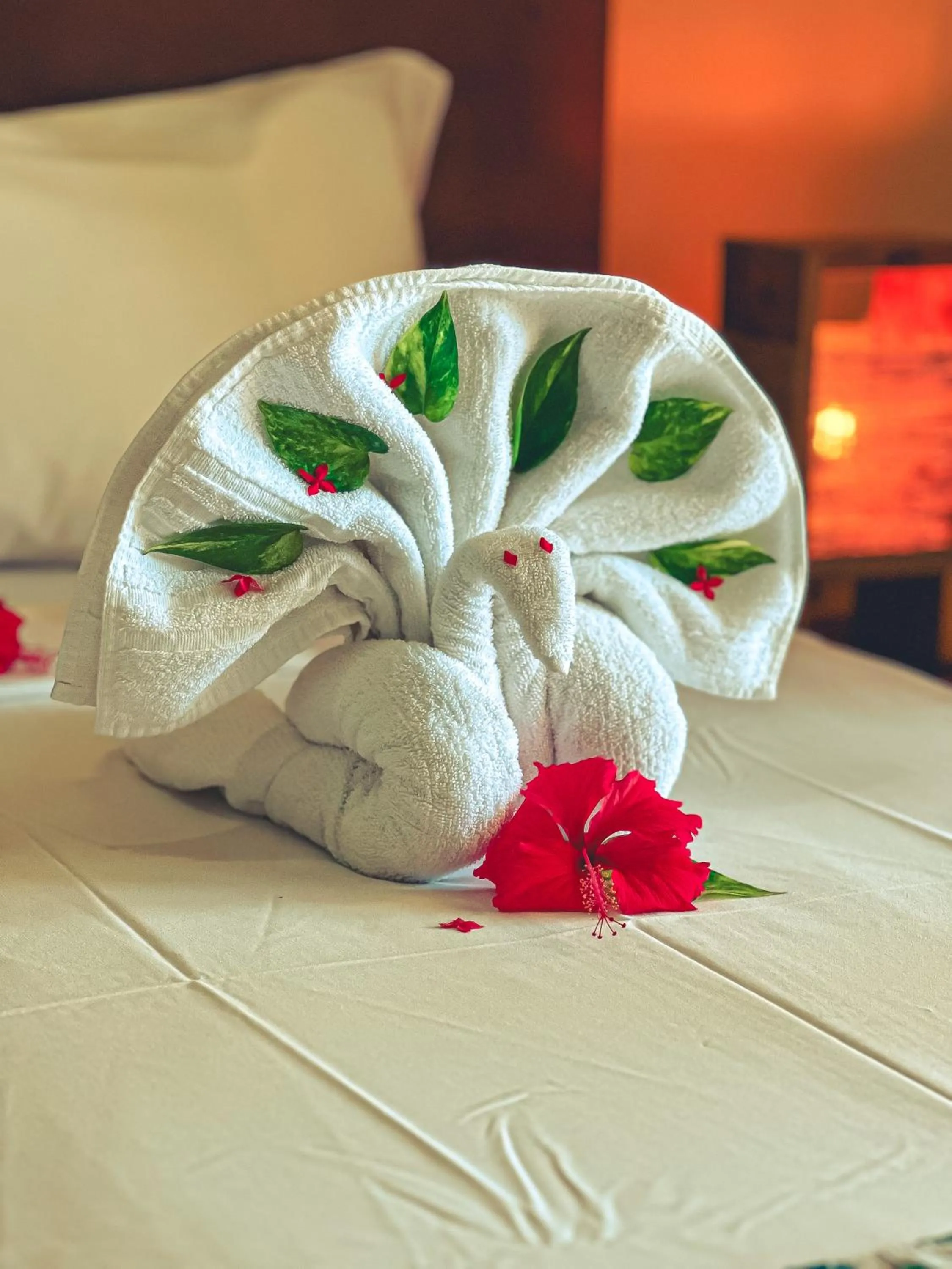 Bed in Igarakuê Flat