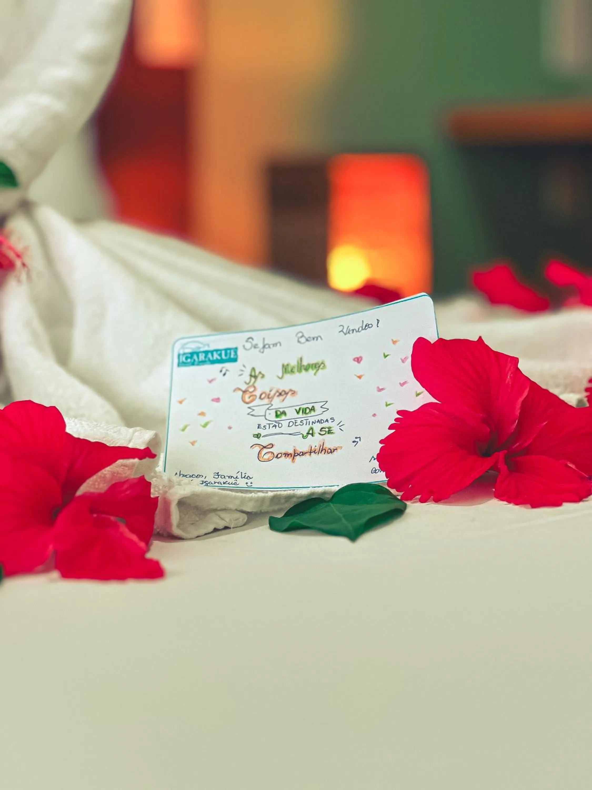 Bed in Igarakuê Flat